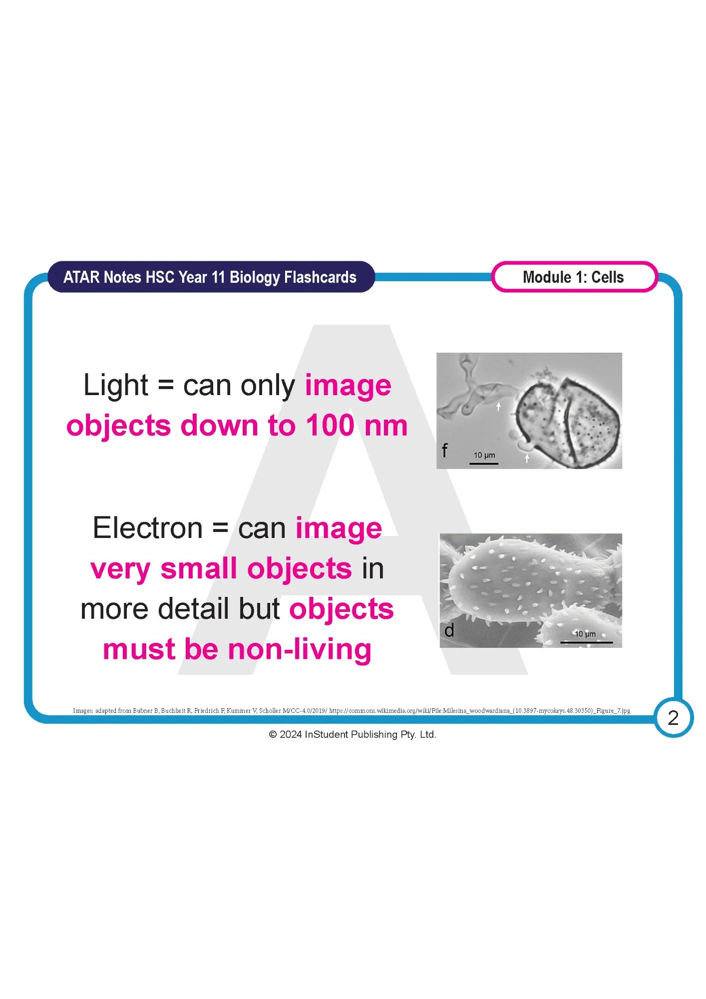 ATAR Notes HSC Year 11 Biology Flashcards - Image 5