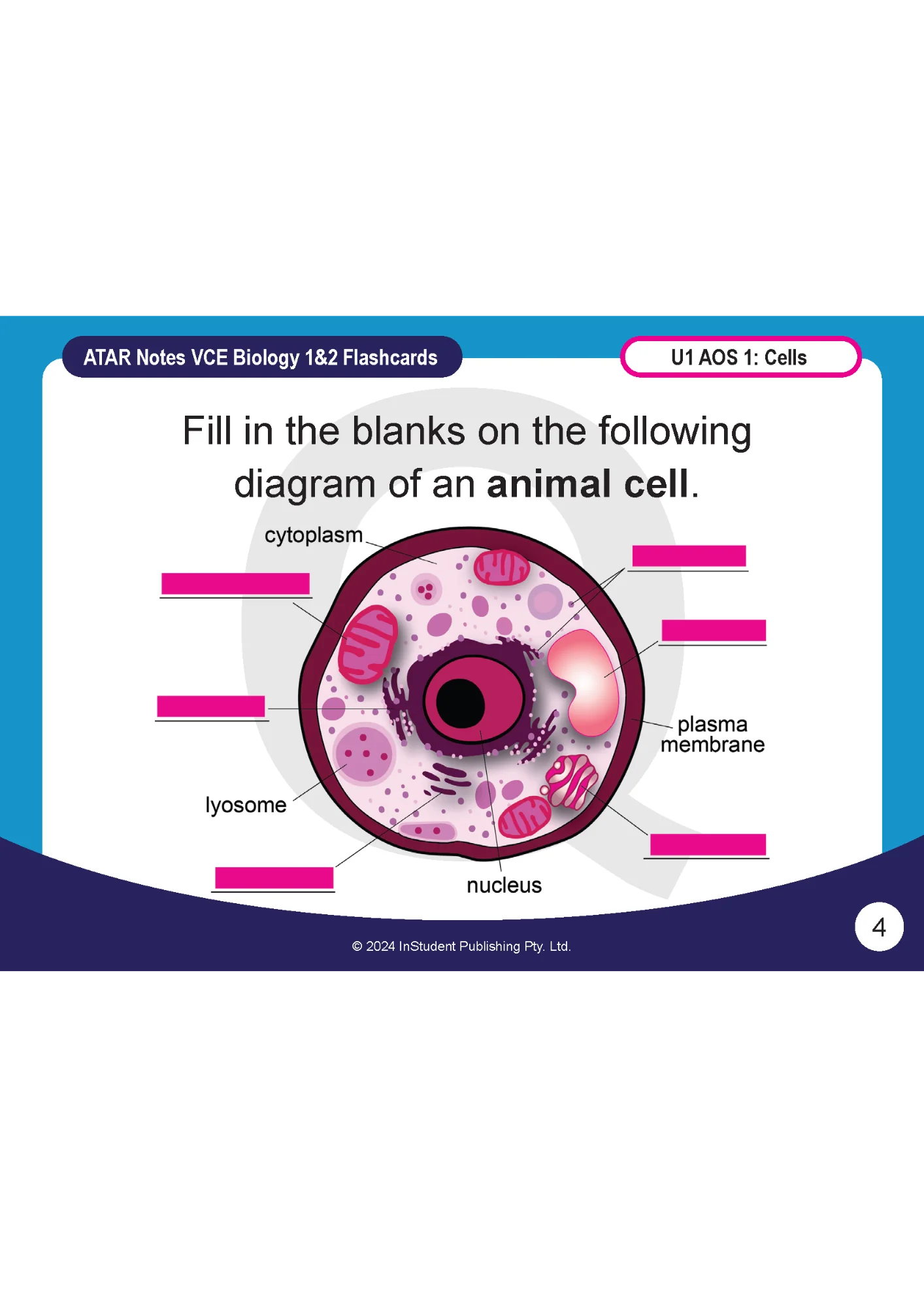 ATAR Notes VCE Biology 1&2 Flashcards - Image 4