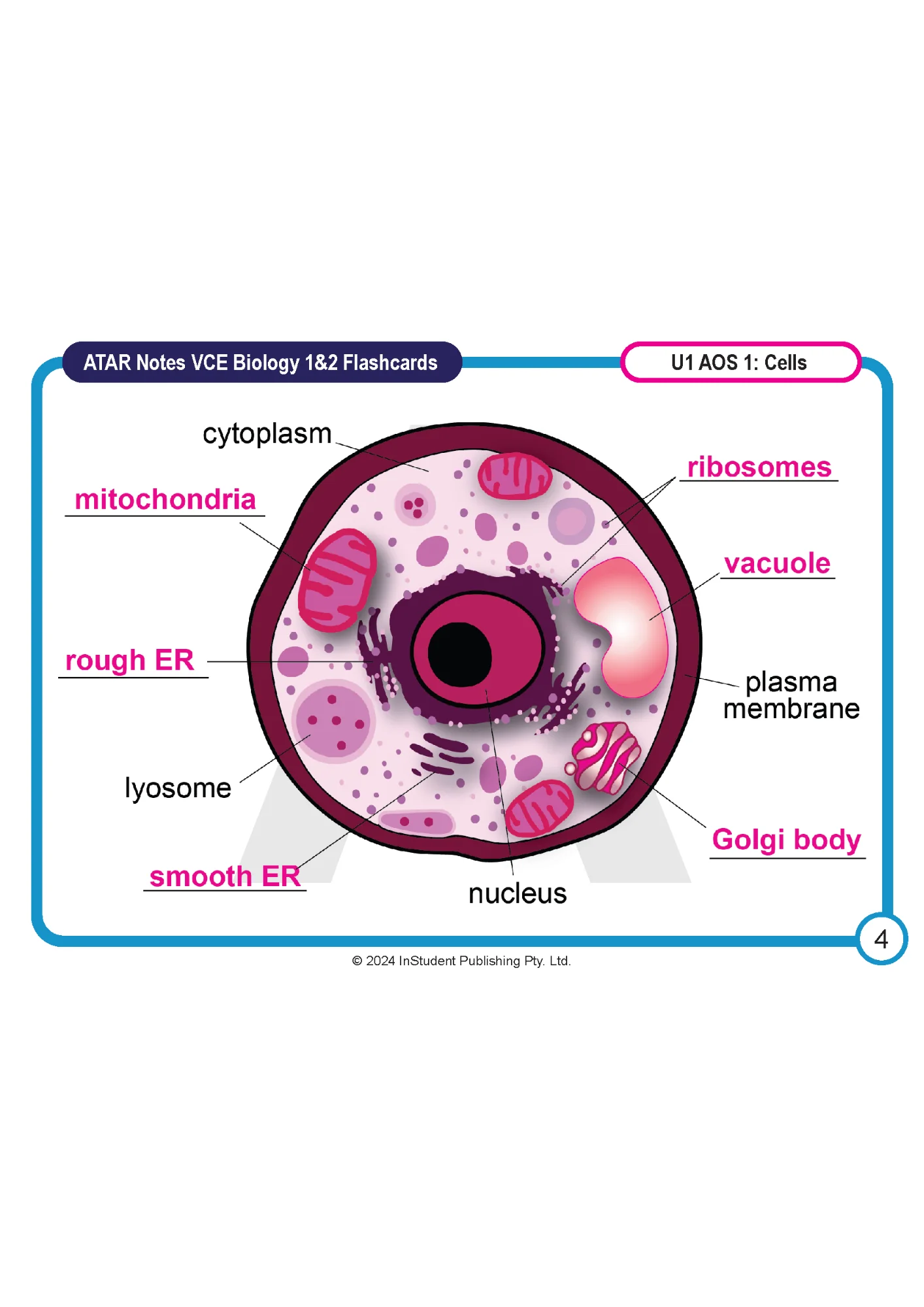 ATAR Notes VCE Biology 1&2 Flashcards - Image 5