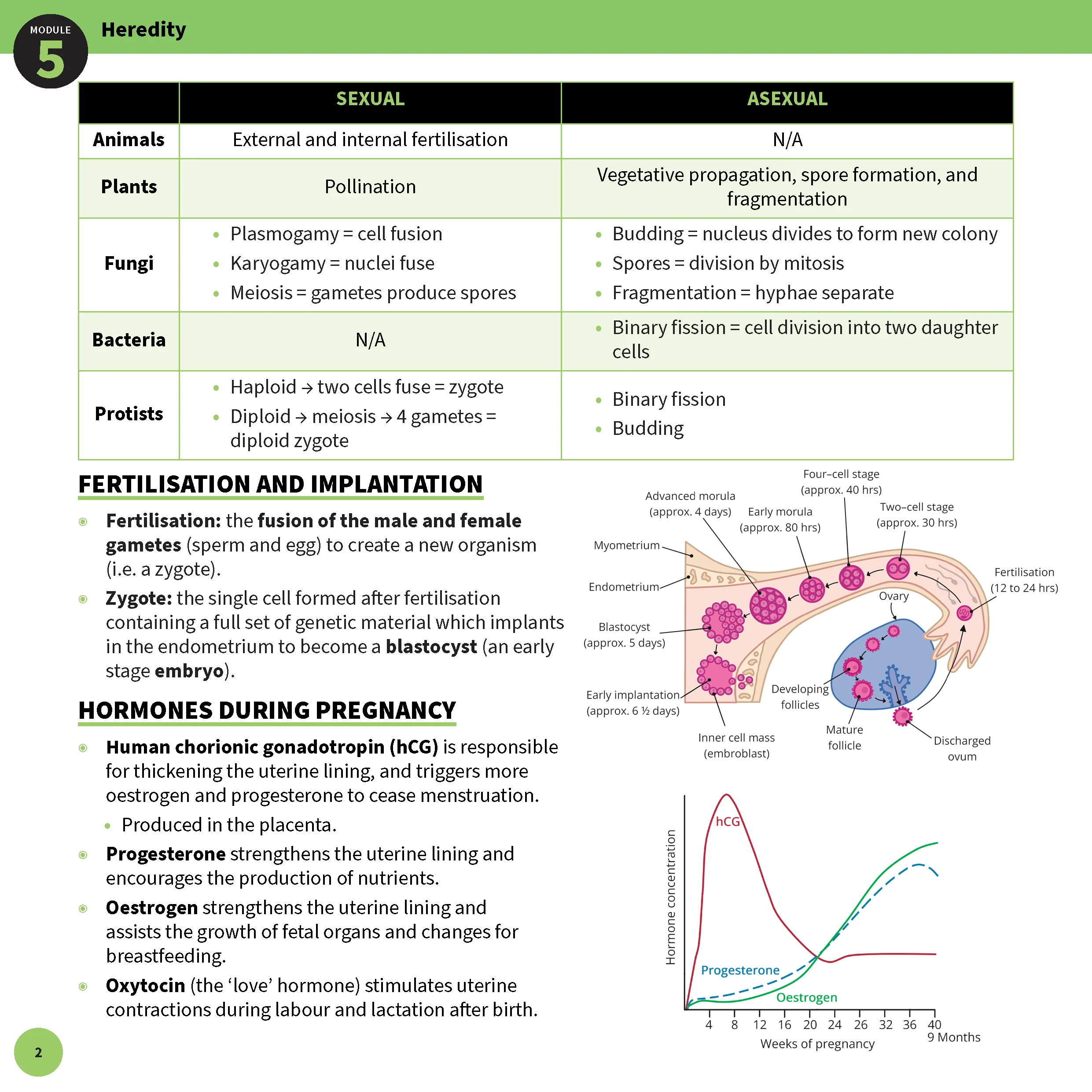 ATAR Notes HSC Year 12 Biology Summary Sheets (2025-2027) - Image 4