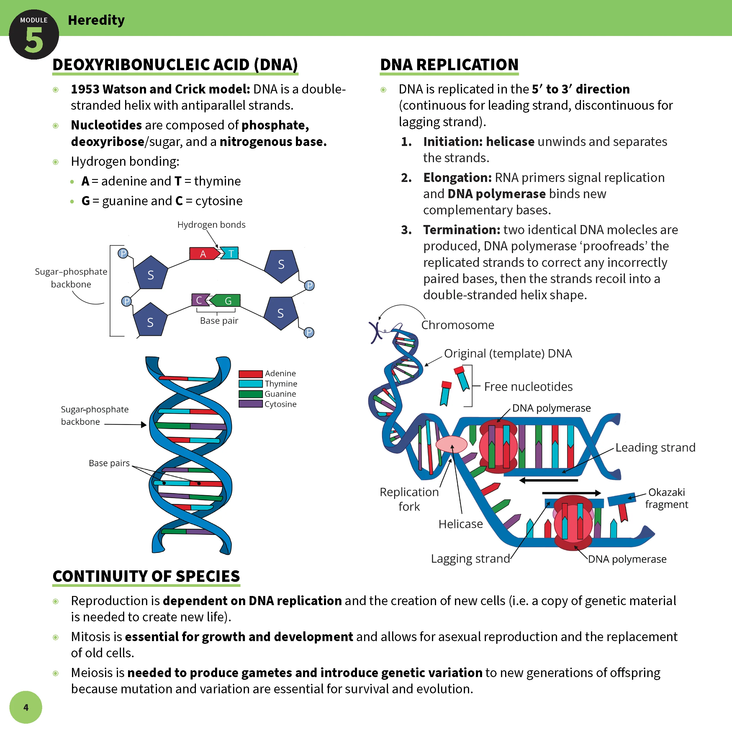 ATAR Notes HSC Year 12 Biology Summary Sheets (2025-2027) - Image 6