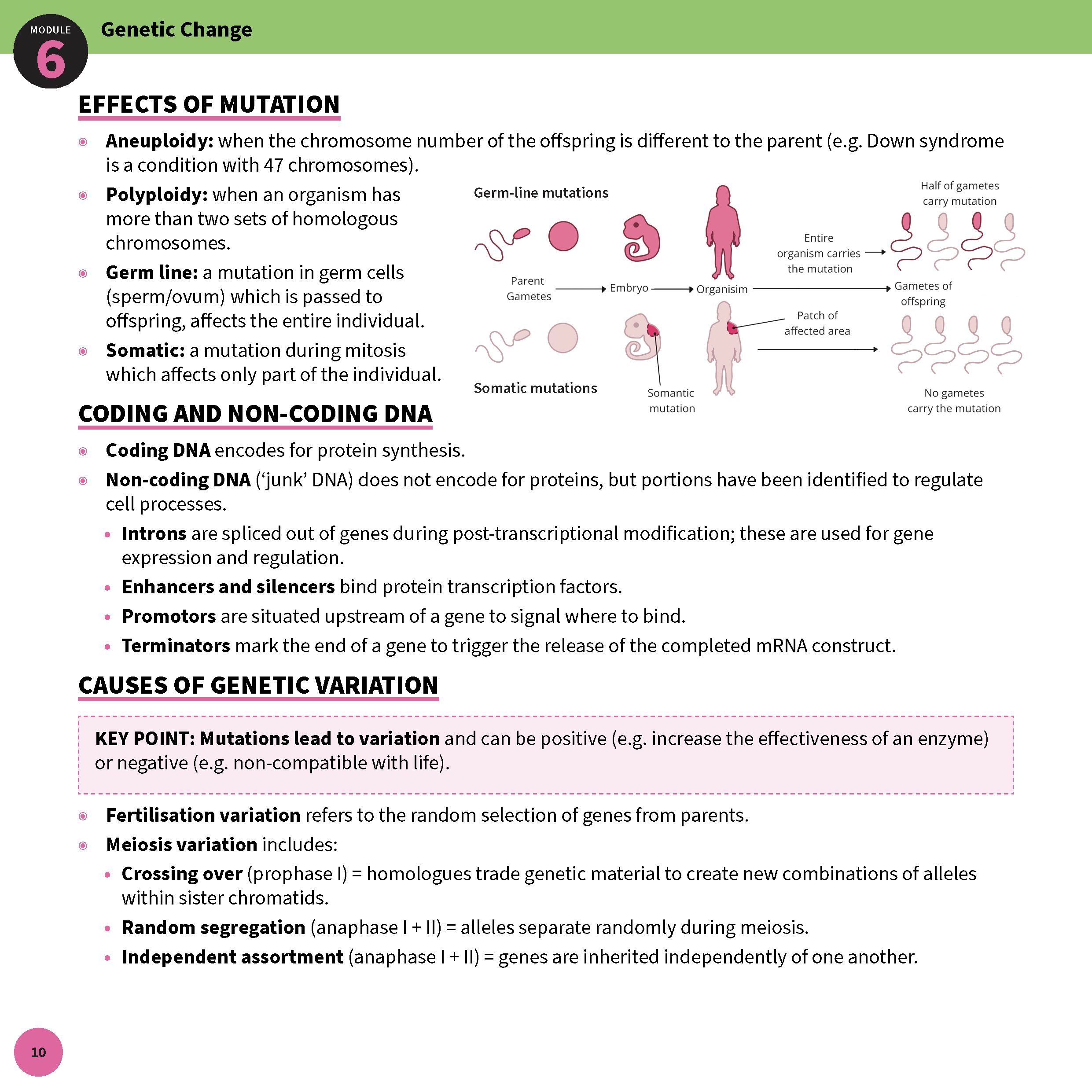 ATAR Notes HSC Year 12 Biology Summary Sheets (2025-2027) - Image 9