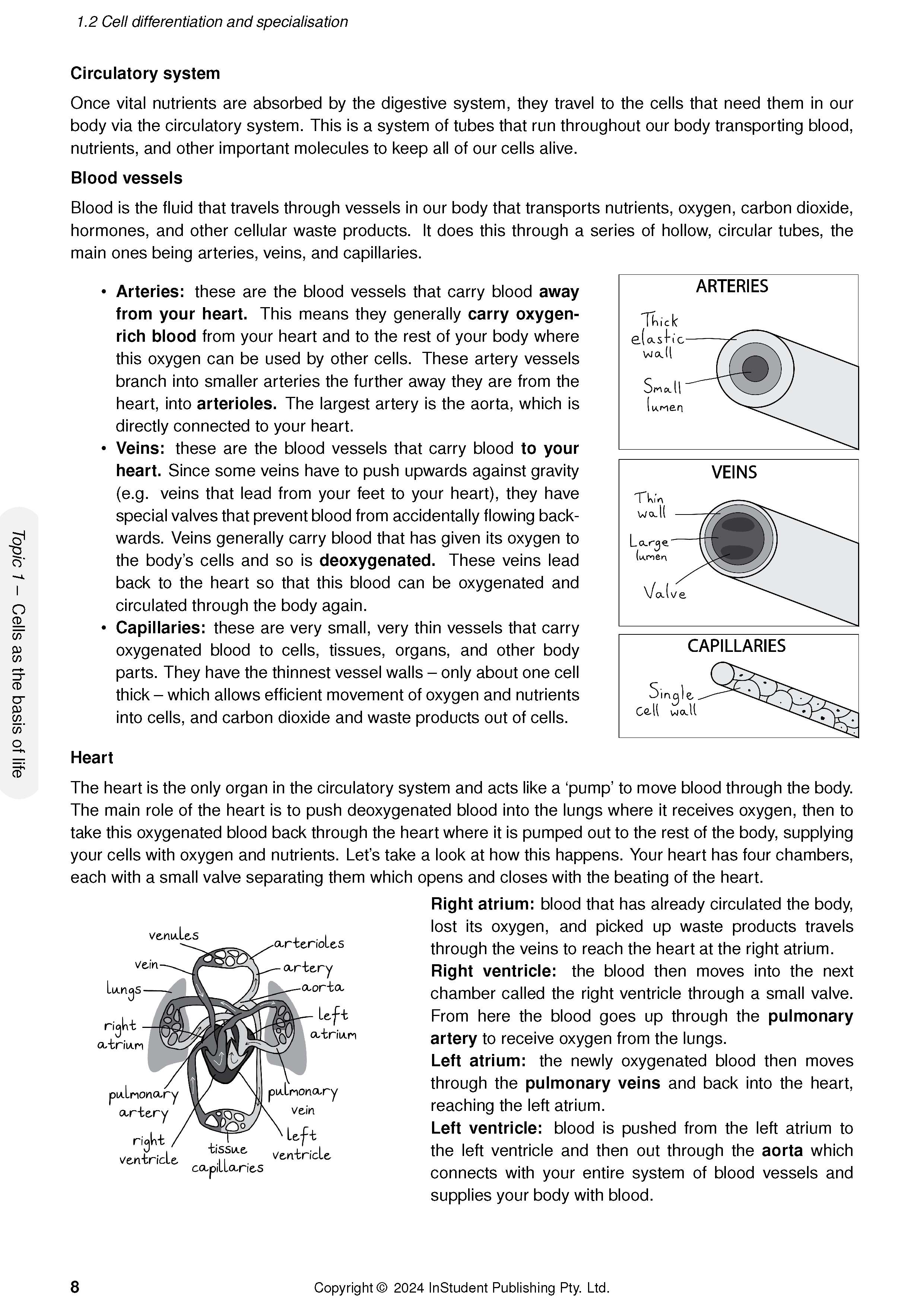 ATAR Notes QCE Biology 1&2 Complete Course Notes (2025-2027) - Image 11