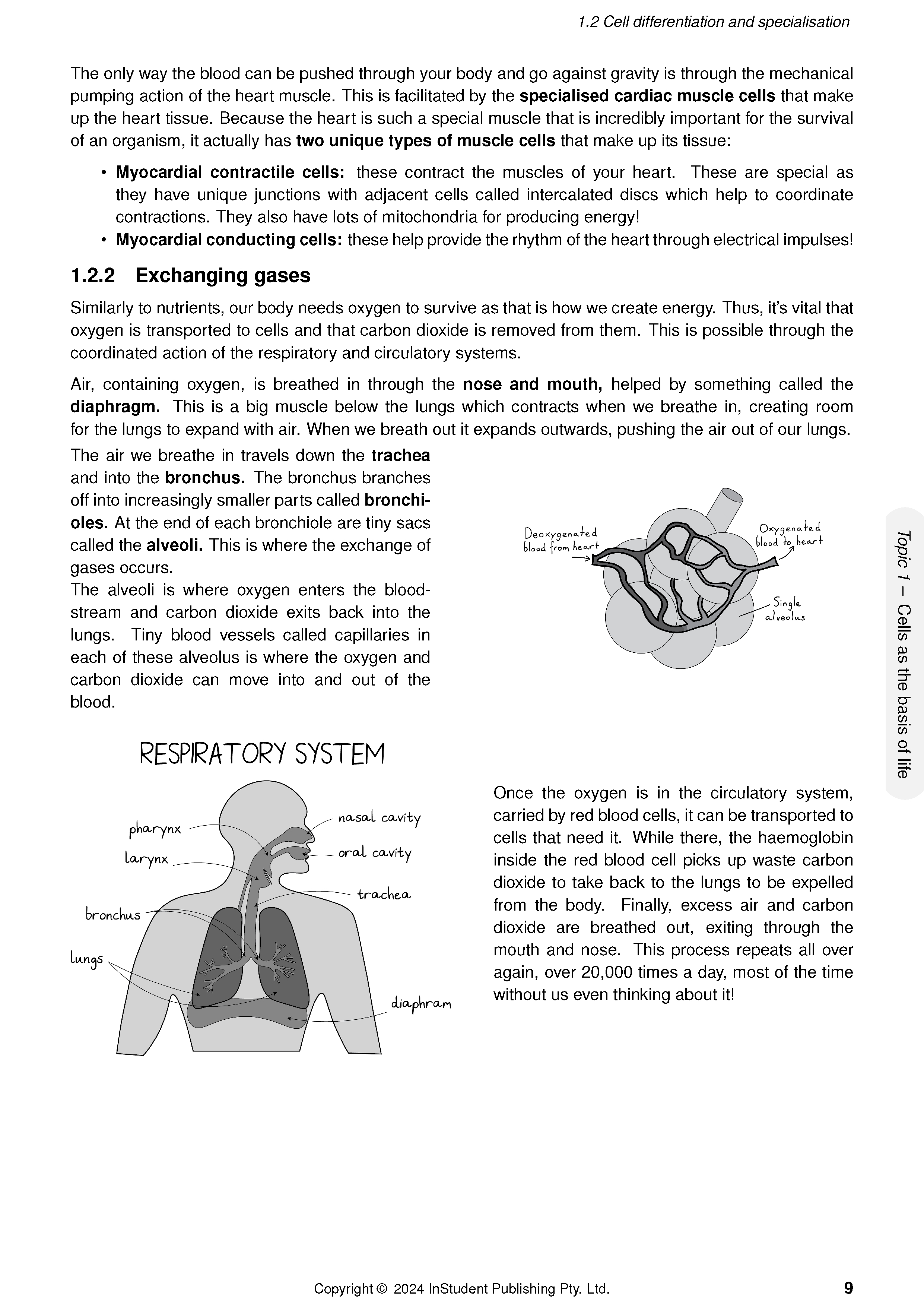 ATAR Notes QCE Biology 1&2 Complete Course Notes (2025-2027) - Image 12