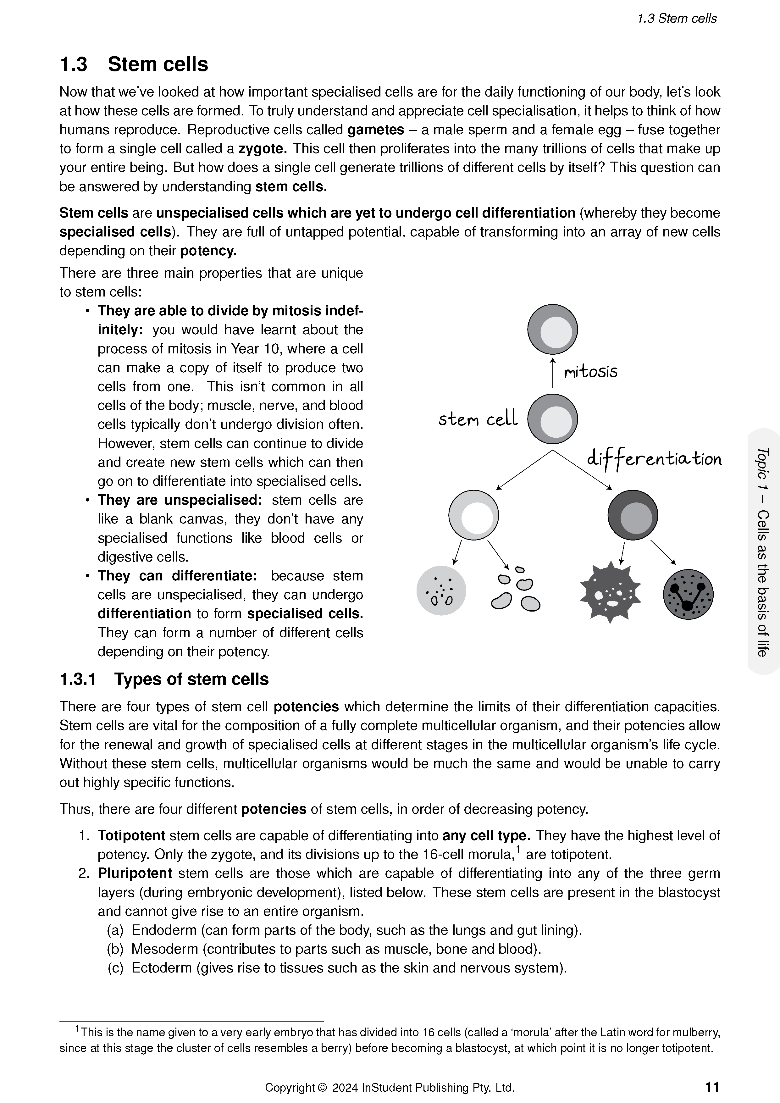 ATAR Notes QCE Biology 1&2 Complete Course Notes (2025-2027) - Image 14