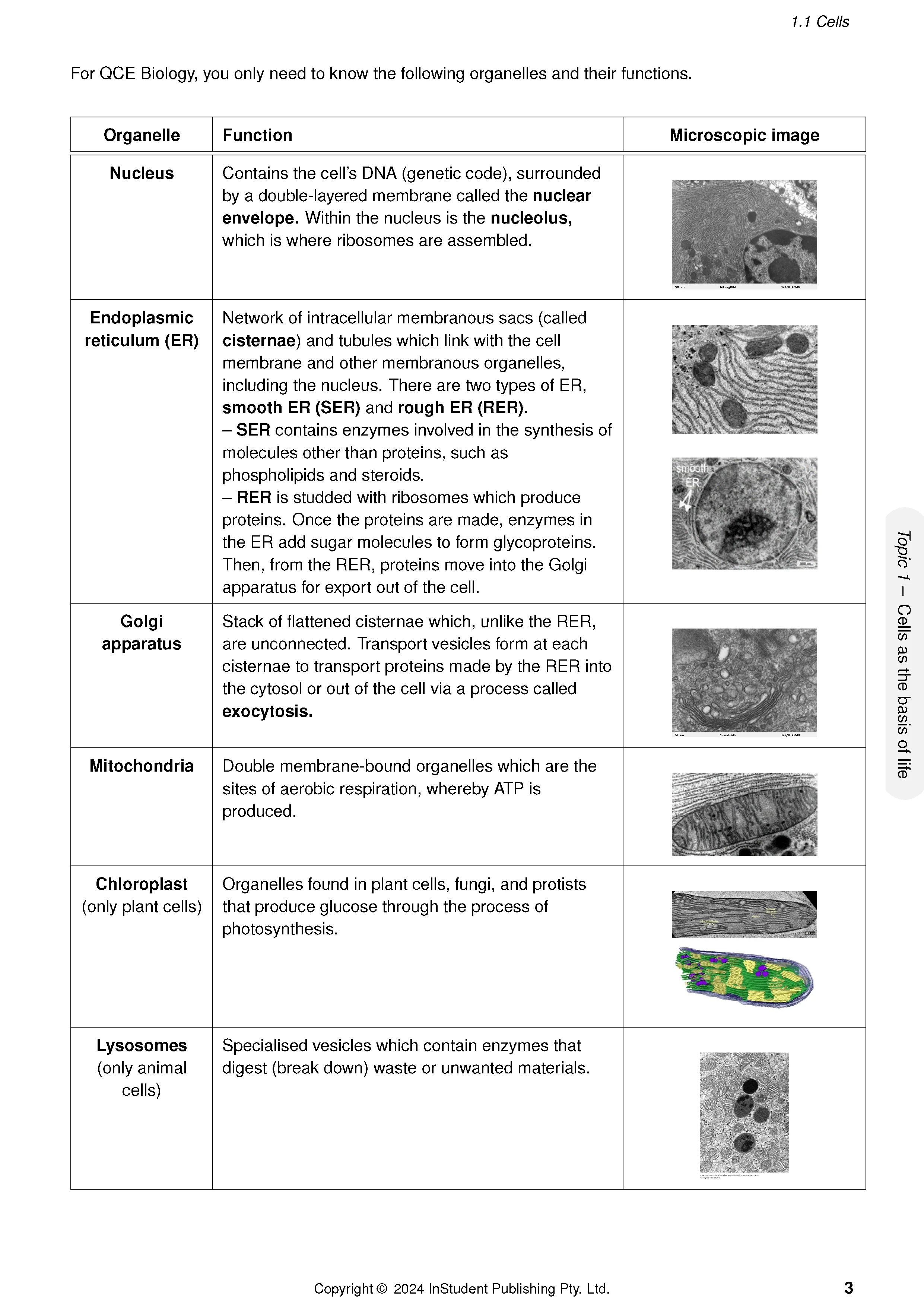 ATAR Notes QCE Biology 1&2 Complete Course Notes (2025-2027) - Image 6