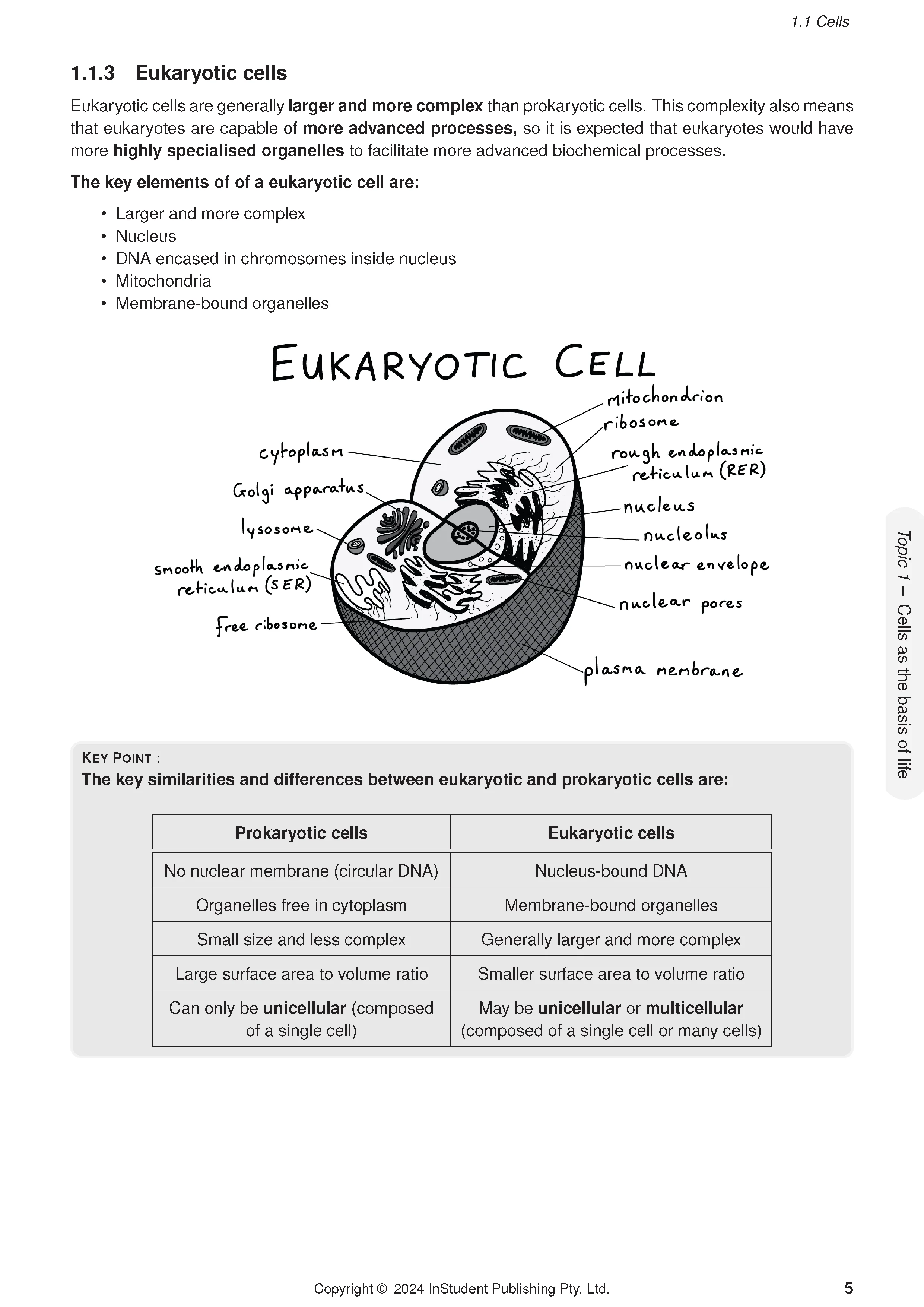 ATAR Notes QCE Biology 1&2 Complete Course Notes (2025-2027) - Image 8