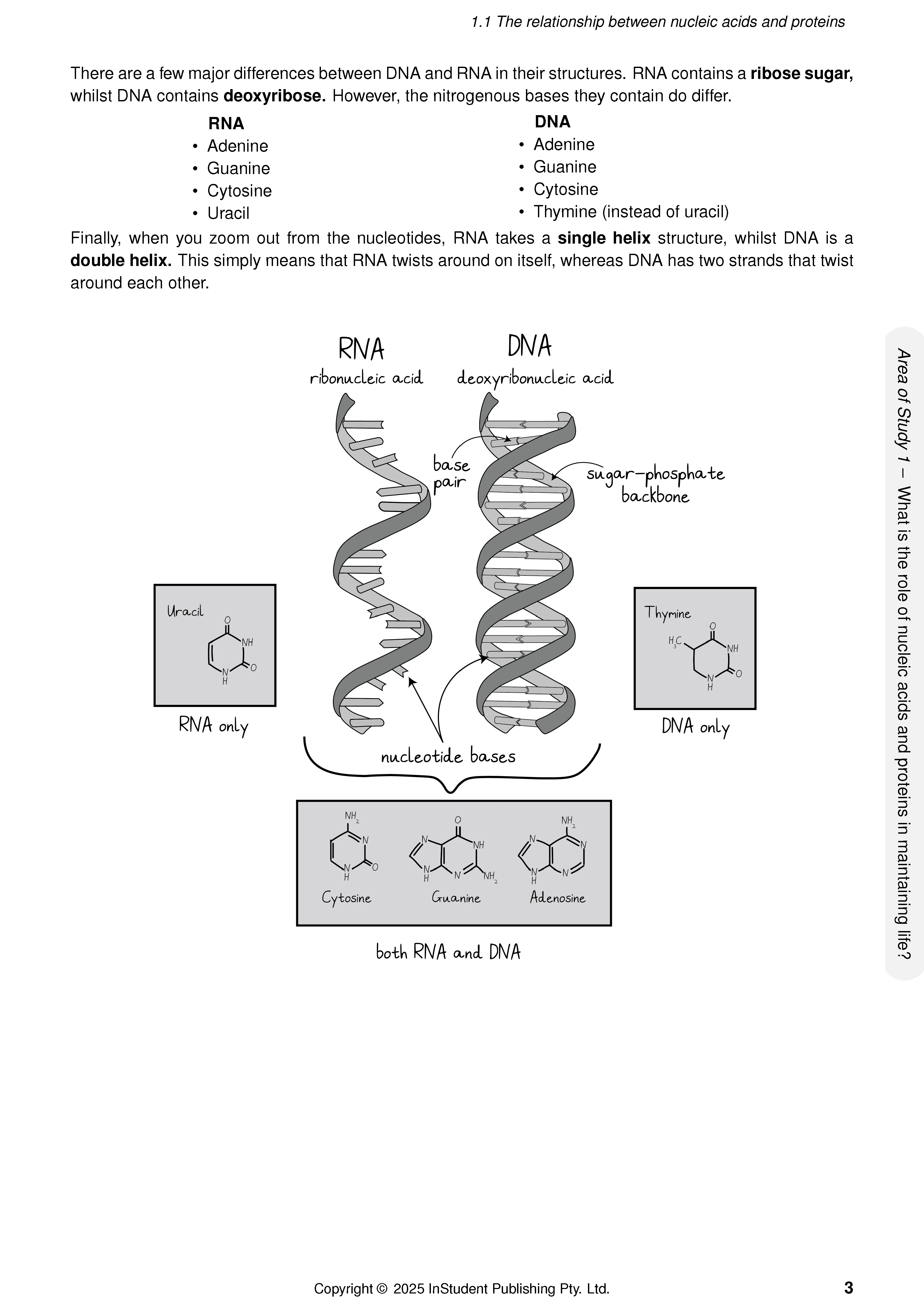 ATAR Notes VCE Biology 3&4 Complete Course Notes (2025-2026) - Image 6