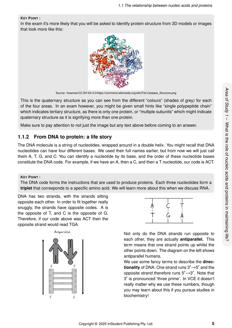 ATAR Notes VCE Biology 3&4 Complete Course Notes (2025-2026) - Image 7