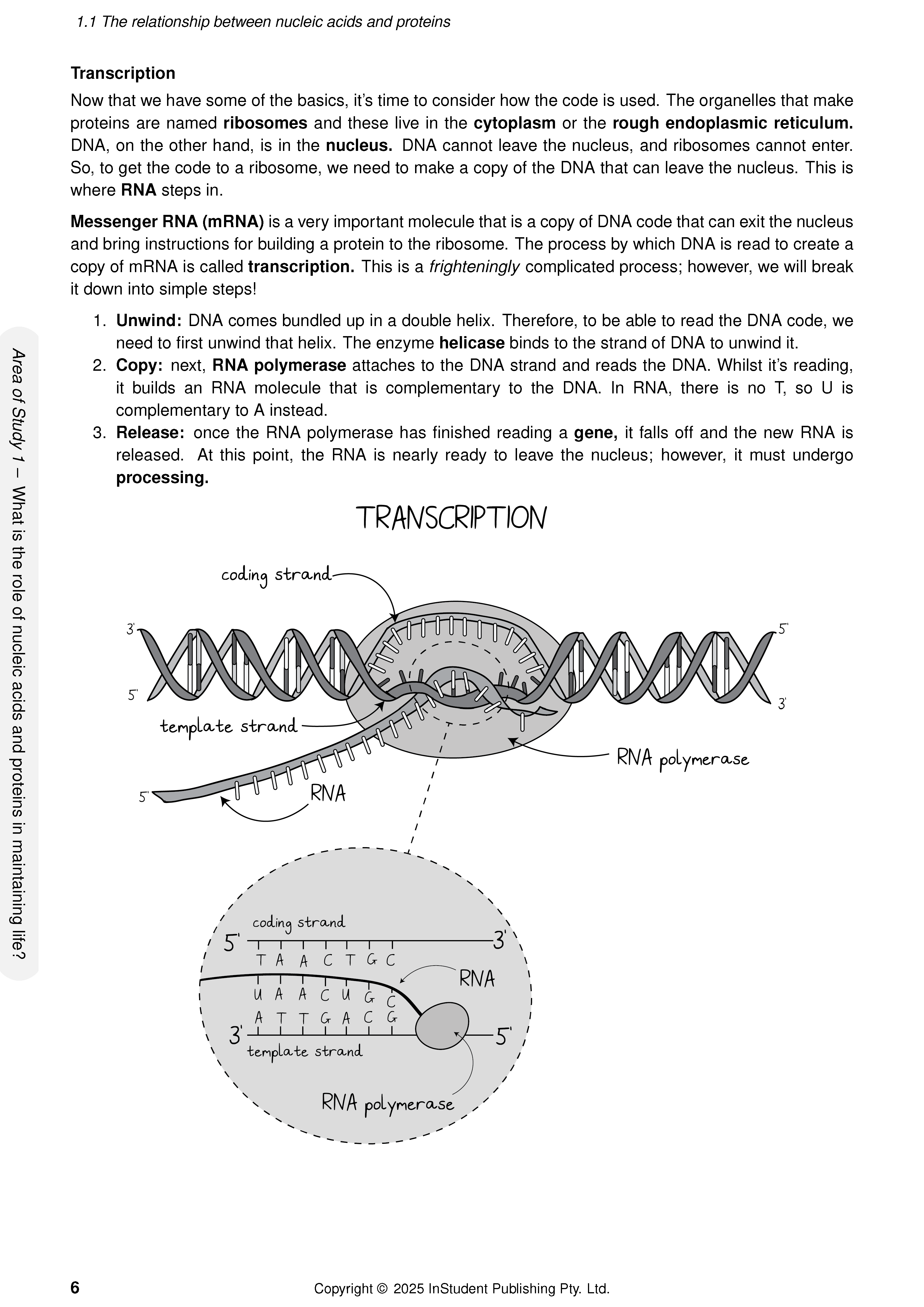 ATAR Notes VCE Biology 3&4 Complete Course Notes (2025-2026) - Image 8