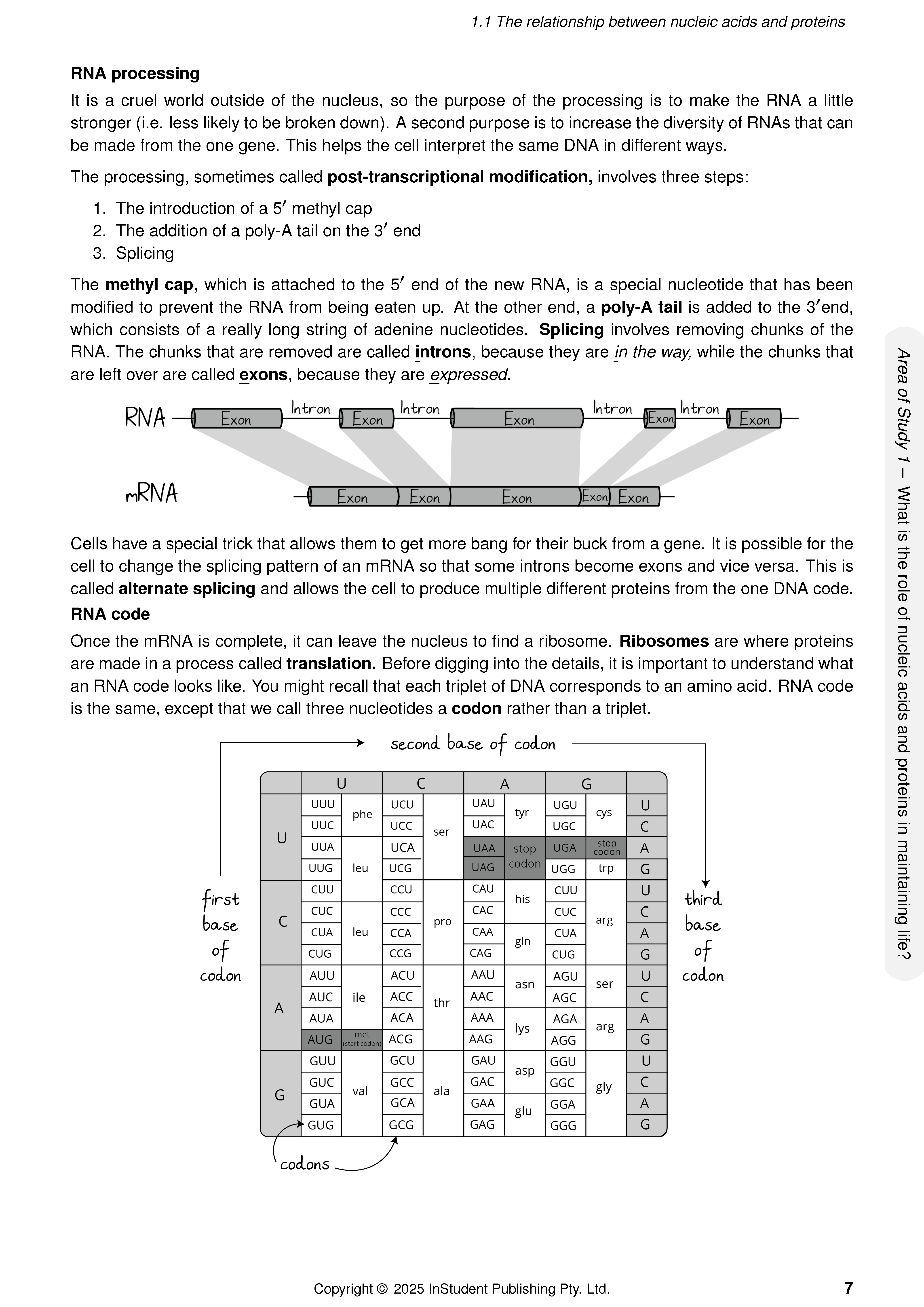 ATAR Notes VCE Biology 3&4 Complete Course Notes (2025-2026) - Image 9