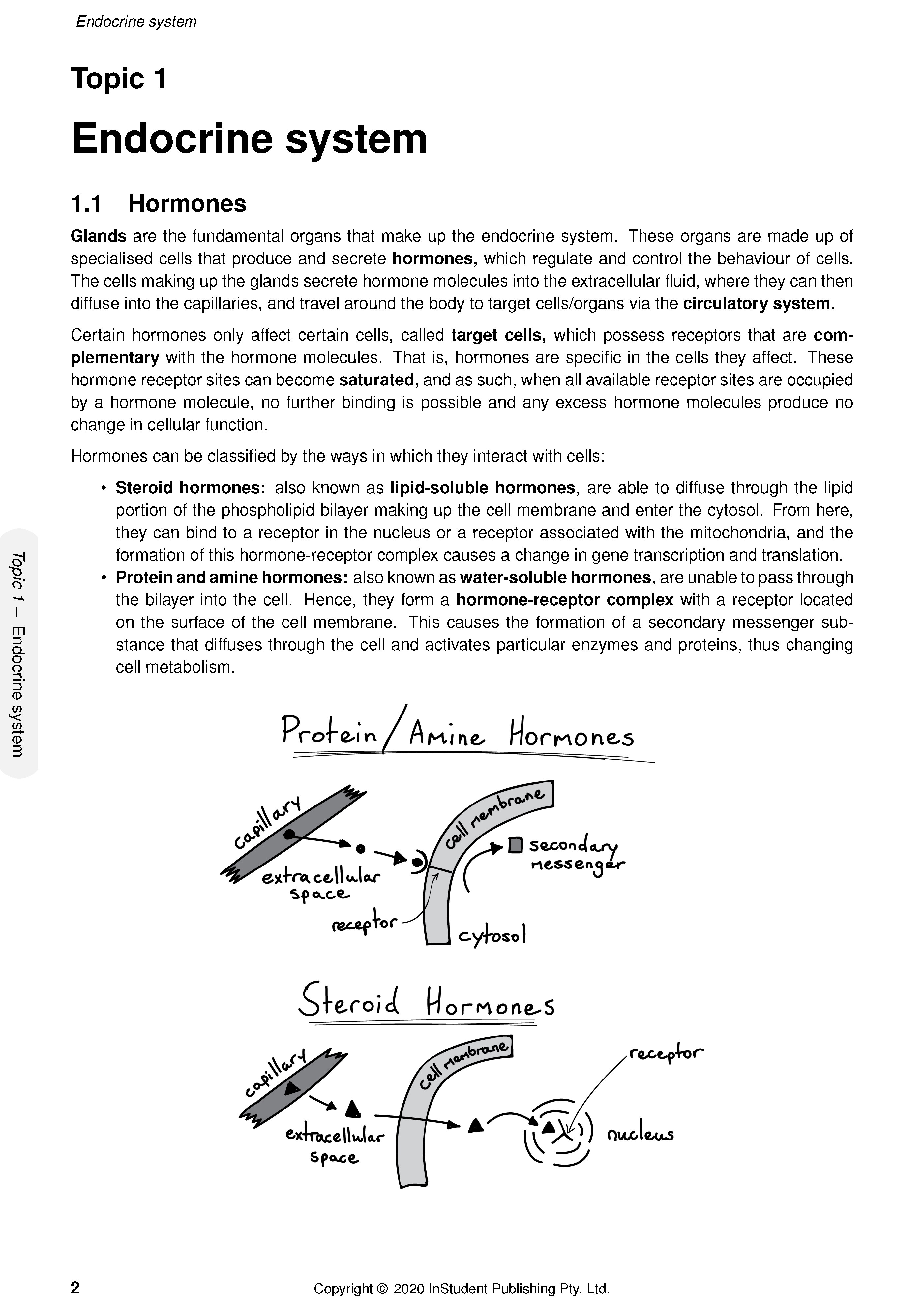 ATAR Notes WACE Year 12 Human Biology 3&4 Complete Course Notes (2024-2026) - Image 4