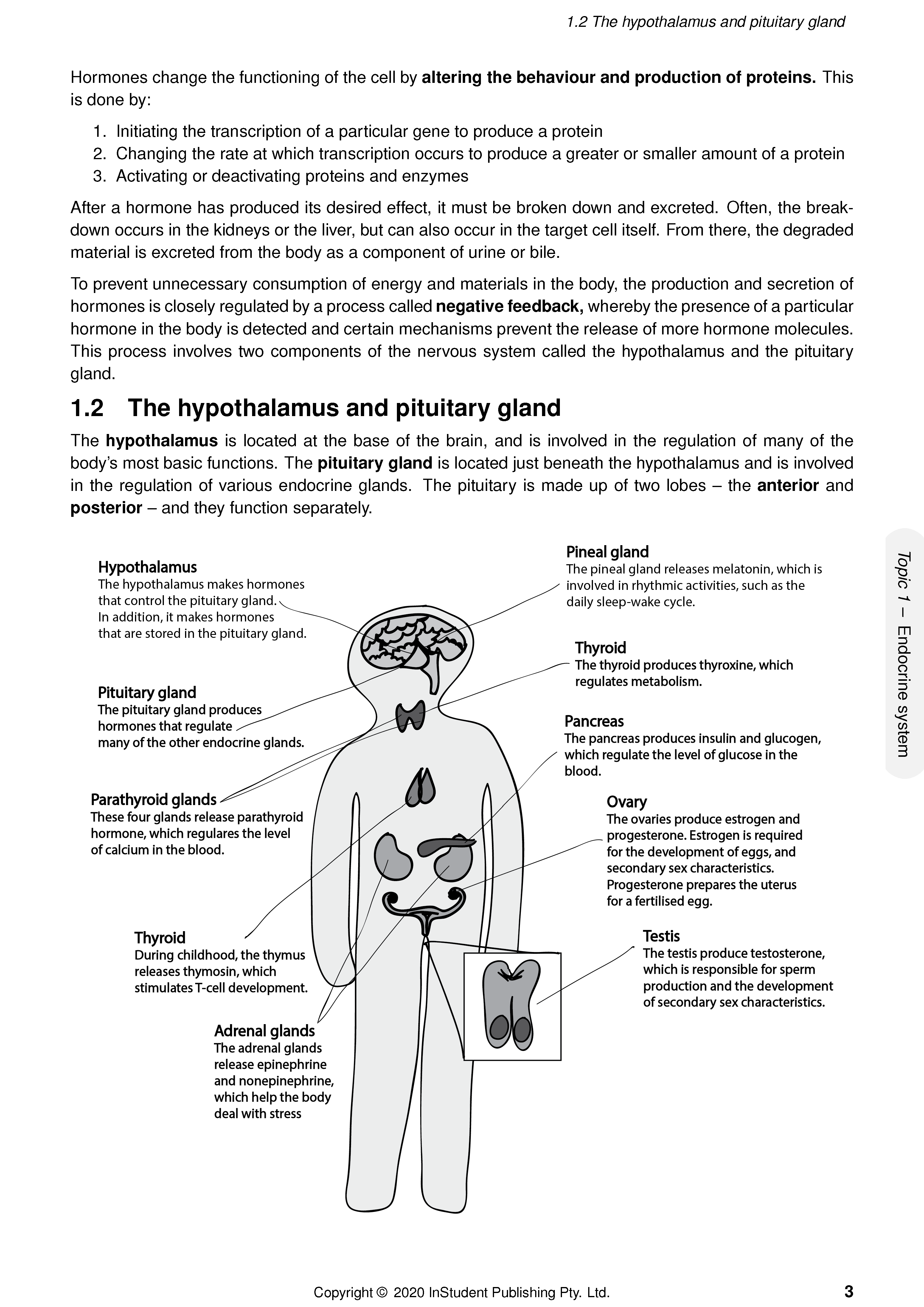 ATAR Notes WACE Year 12 Human Biology 3&4 Complete Course Notes (2024-2026) - Image 5