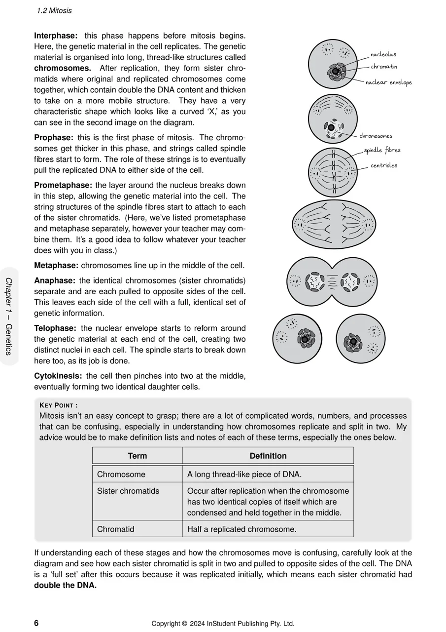 ATAR Notes Year 10 Science Complete Course Notes (2026-2028) - Image 11