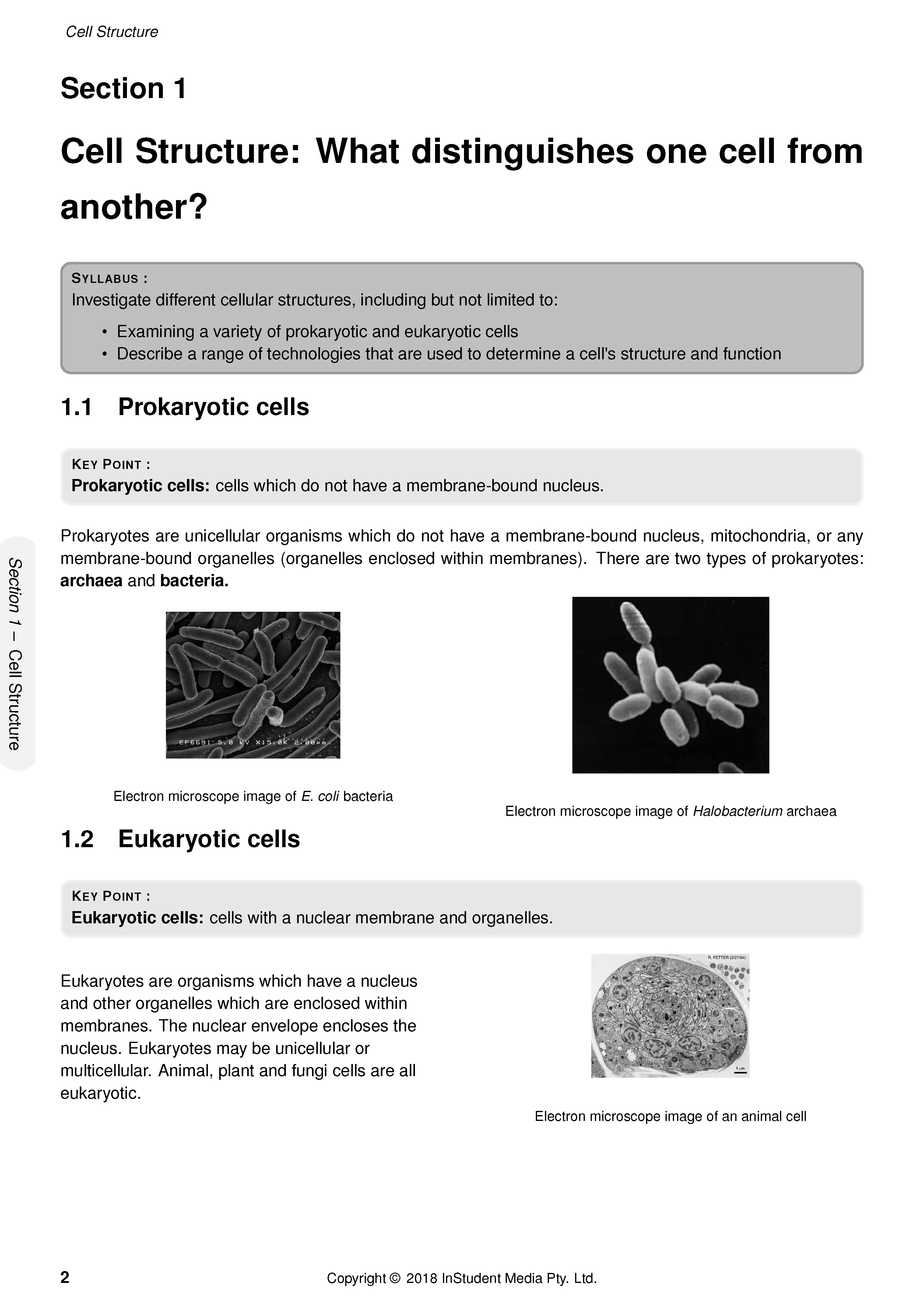 ATAR Notes HSC Year 11 Biology Complete Course Notes (2024-2026) - Image 6