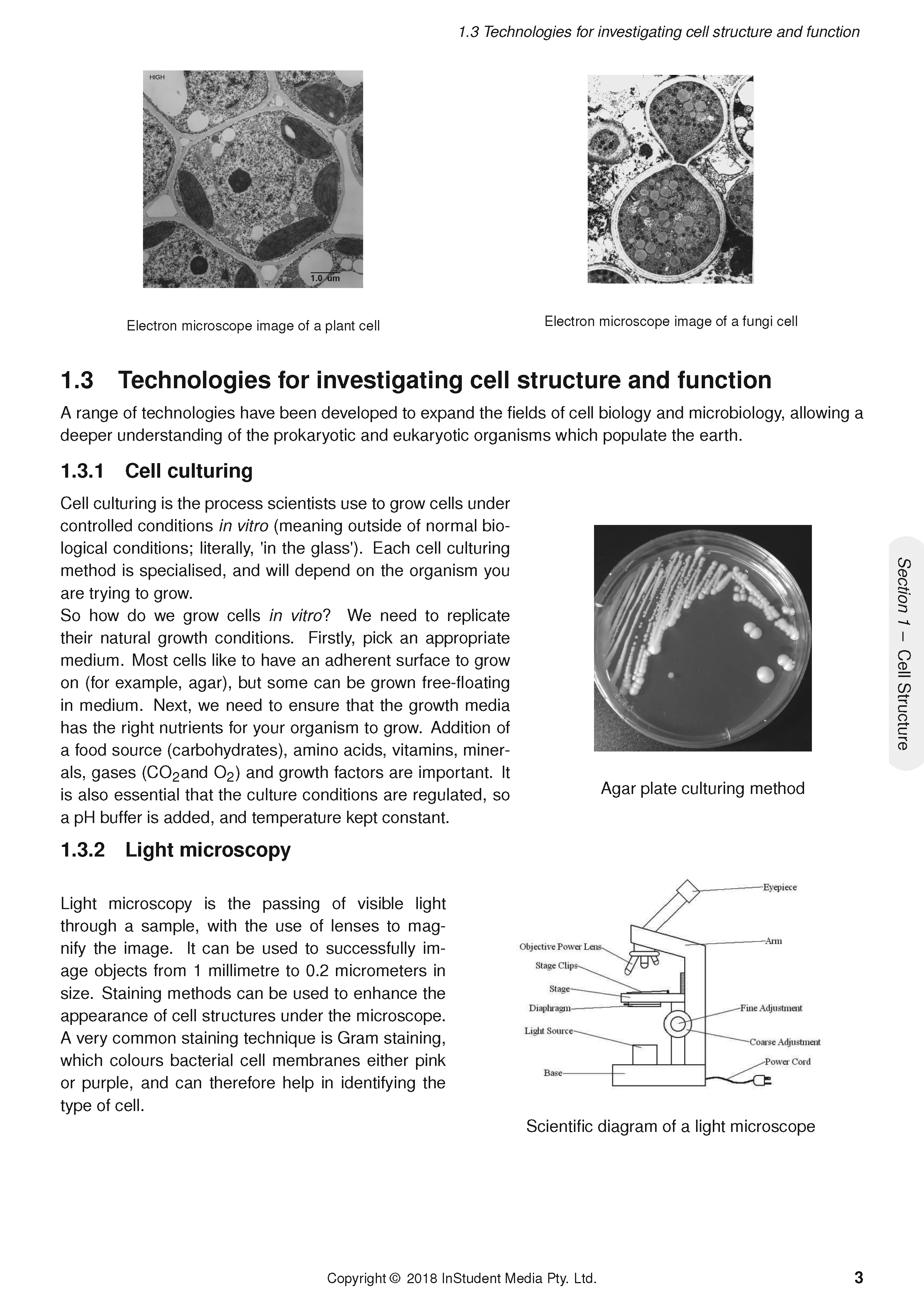 ATAR Notes HSC Year 11 Biology Complete Course Notes (2024-2026) - Image 7