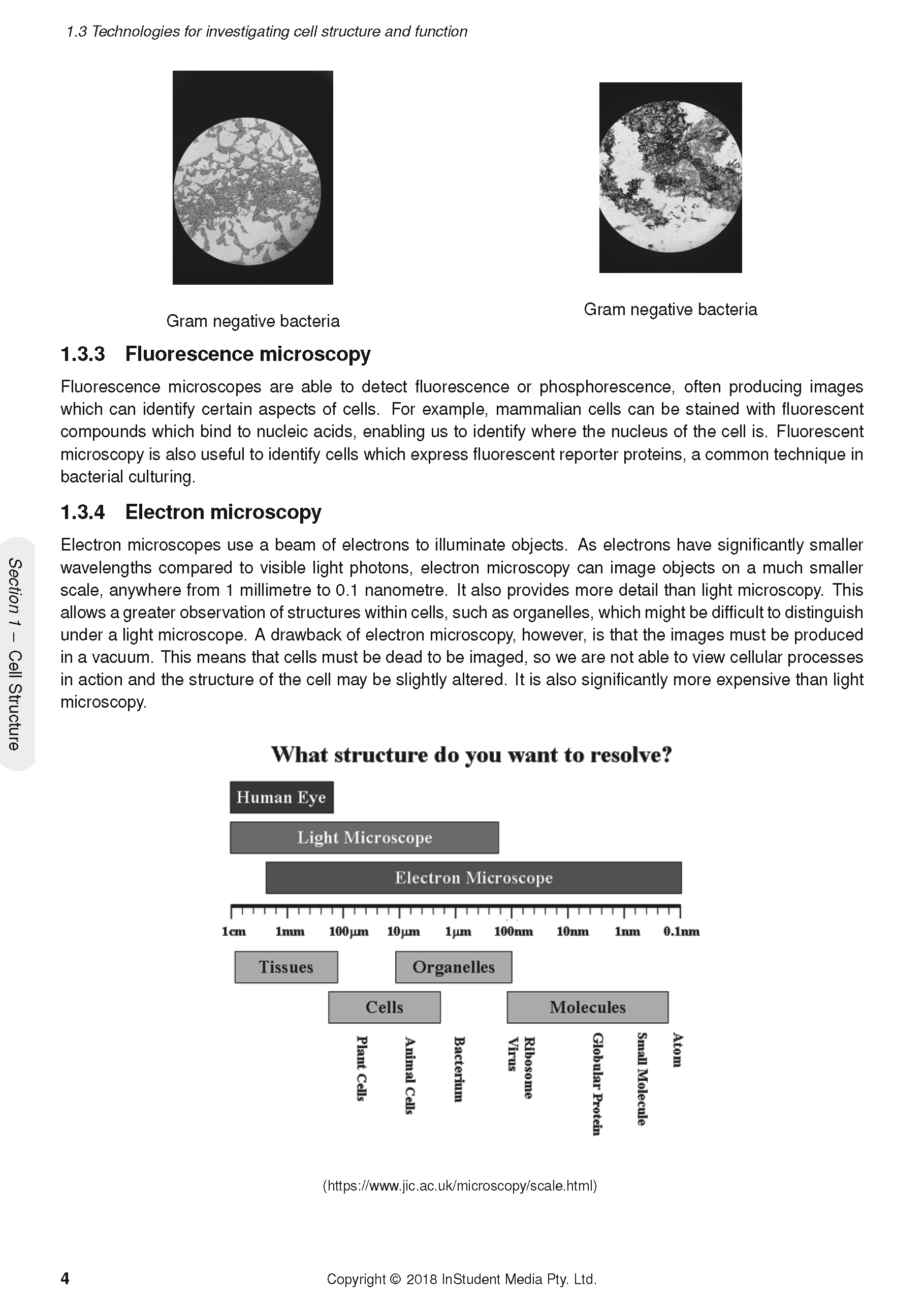ATAR Notes HSC Year 11 Biology Complete Course Notes (2024-2026) - Image 8