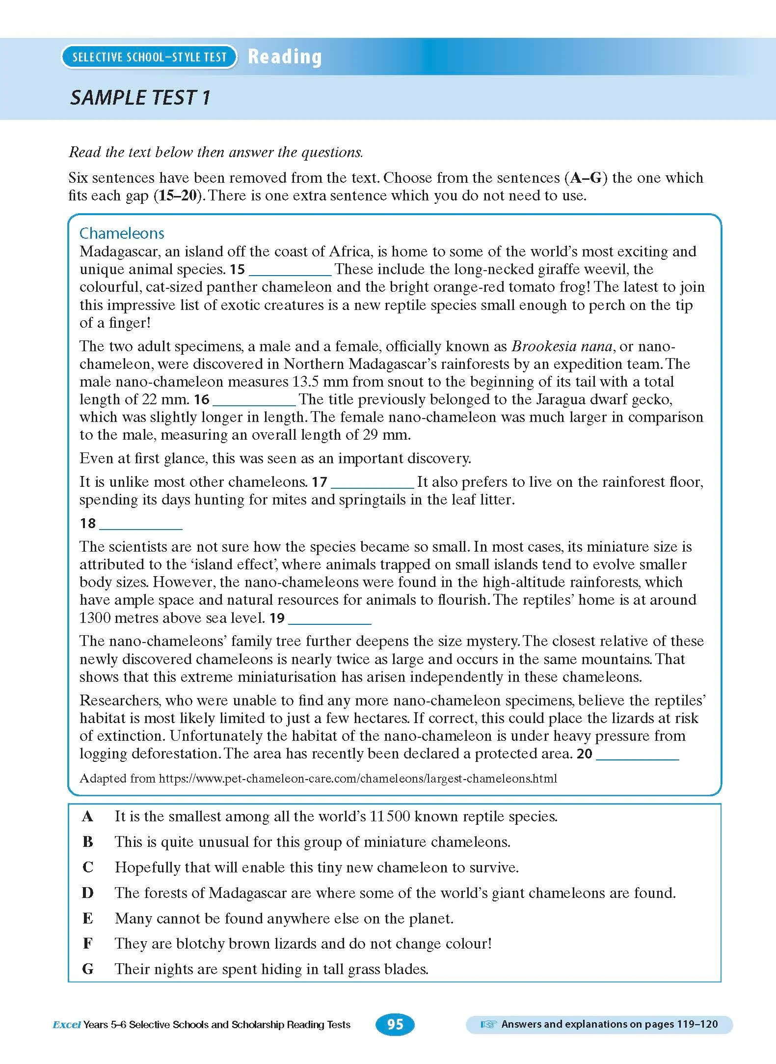 Excel Selective Schools and Scholarship Reading Tests Years 5-6 - Image 10