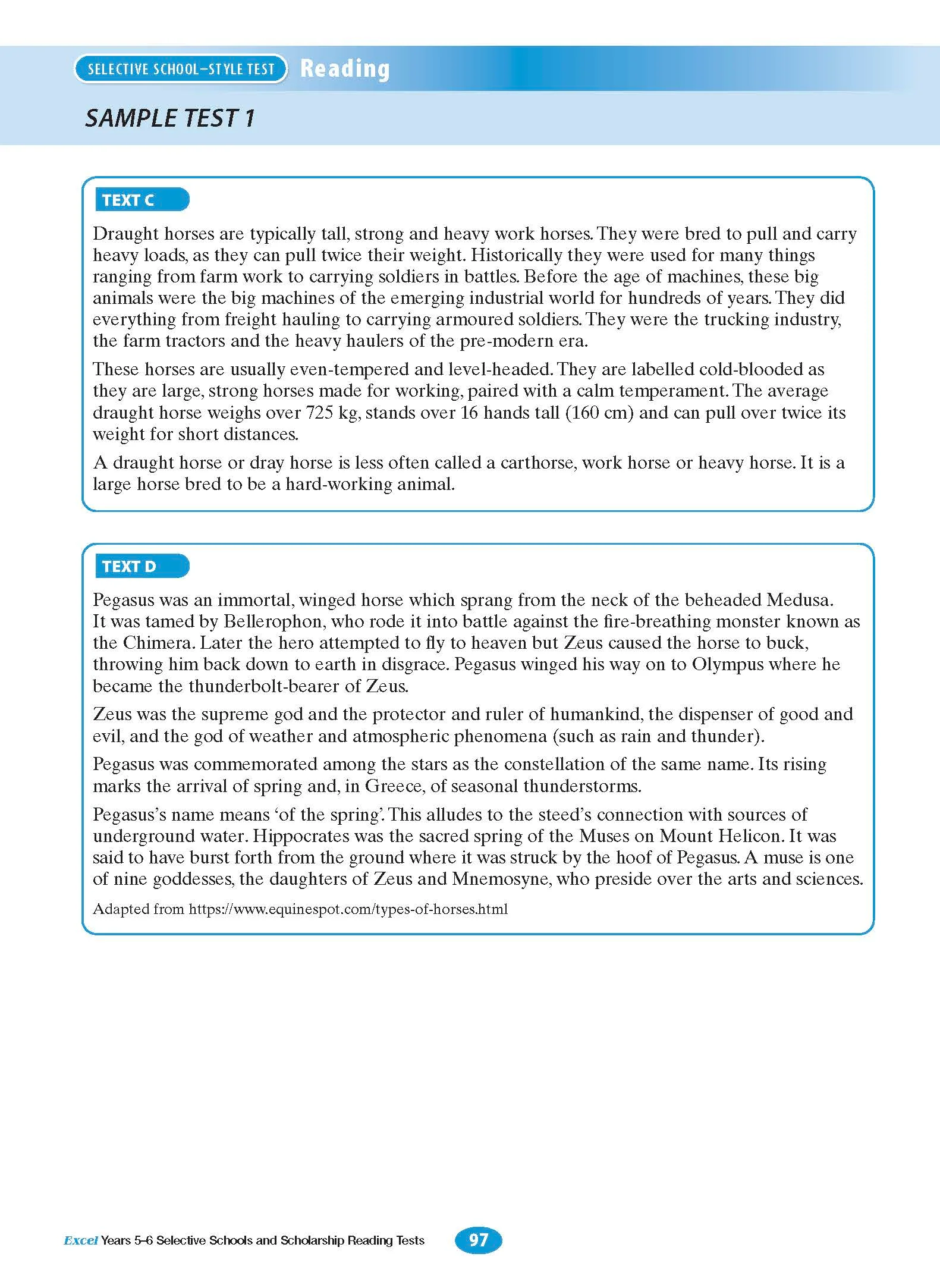Excel Selective Schools and Scholarship Reading Tests Years 5-6 - Image 12