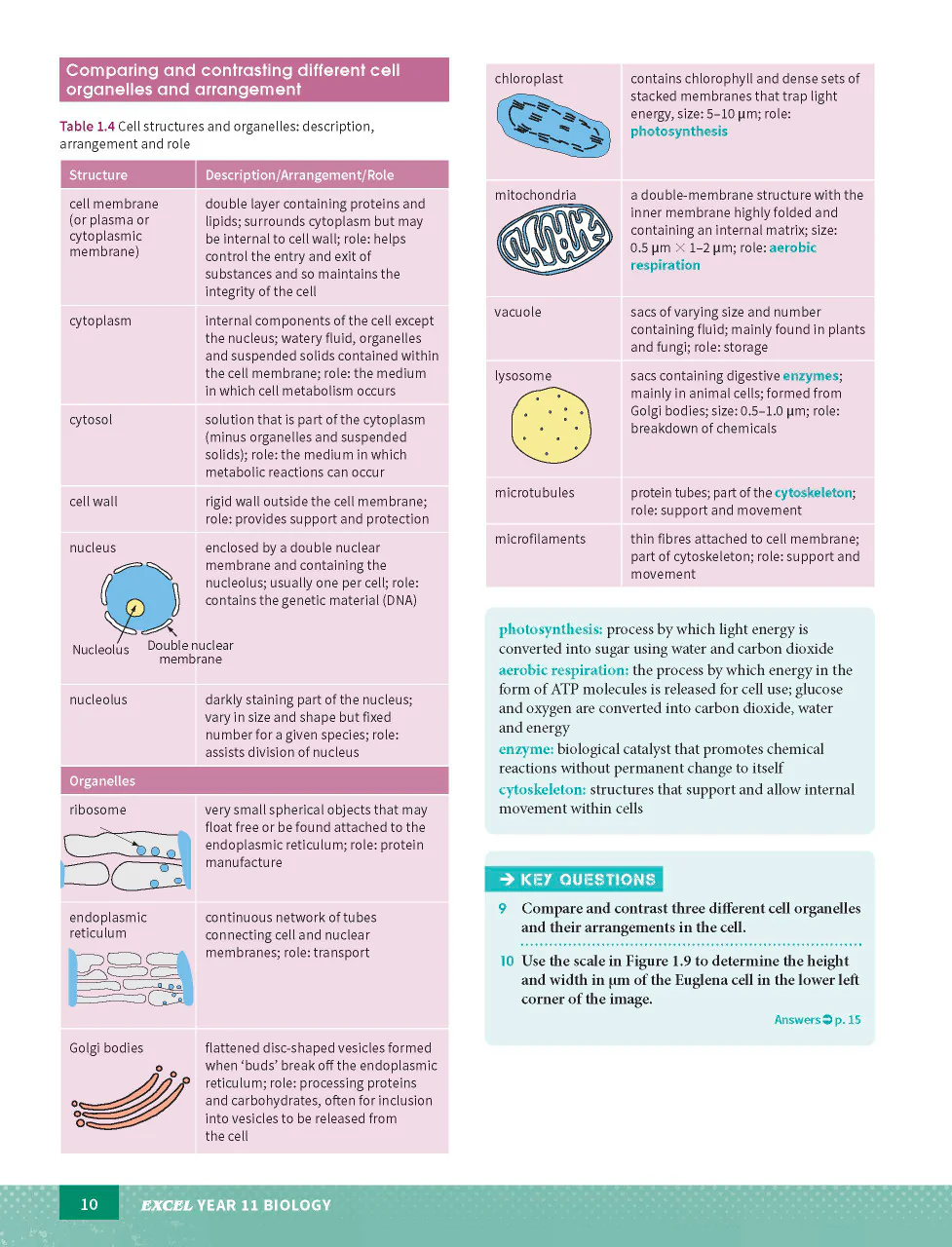 Excel HSC Year 11 Biology Study Guide - Image 10