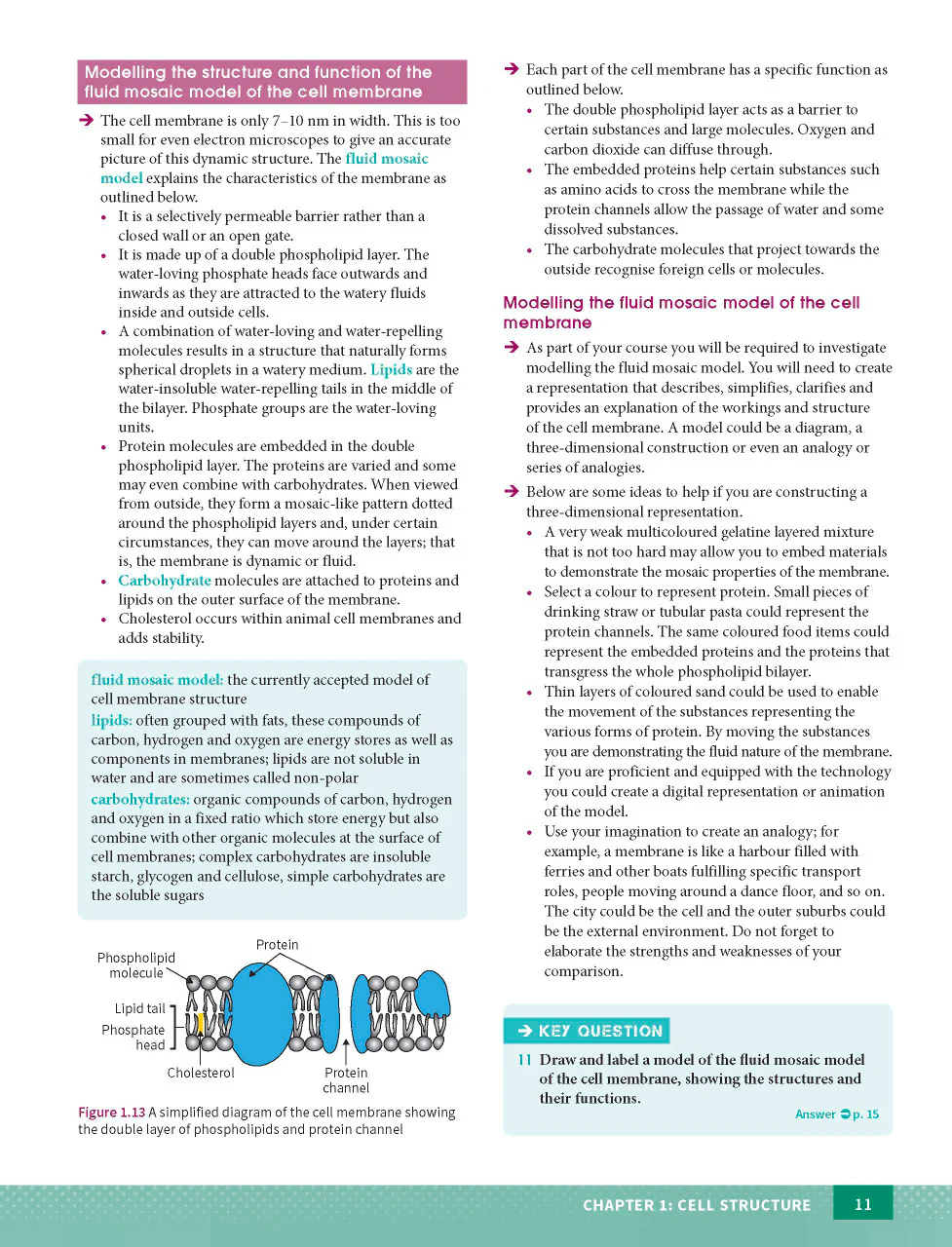 Excel HSC Year 11 Biology Study Guide - Image 11