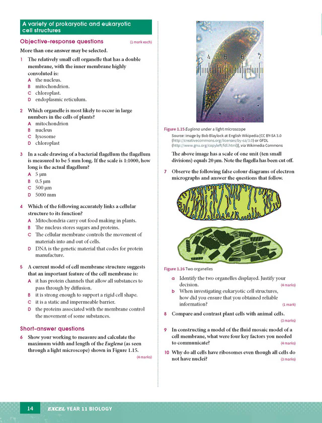 Excel HSC Year 11 Biology Study Guide - Image 14