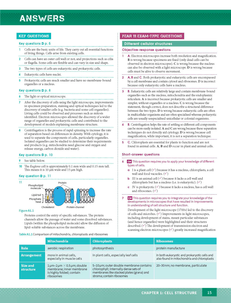 Excel HSC Year 11 Biology Study Guide - Image 15