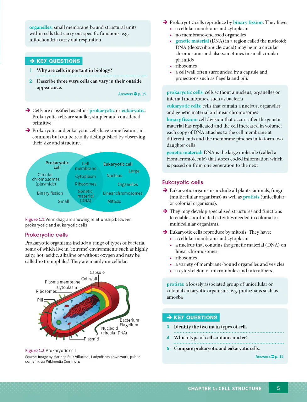 Excel HSC Year 11 Biology Study Guide - Image 5