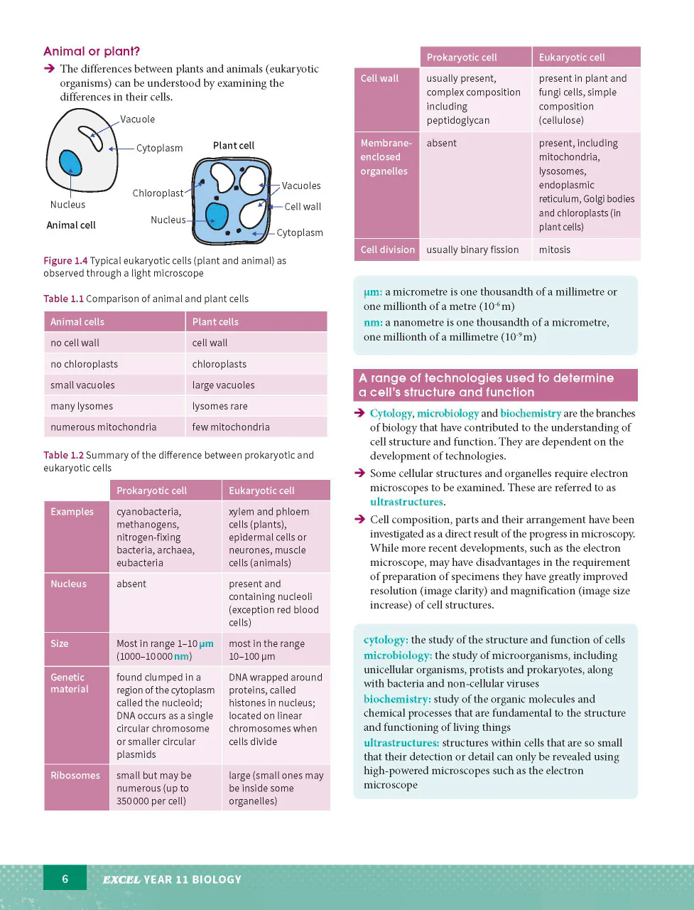 Excel HSC Year 11 Biology Study Guide - Image 6