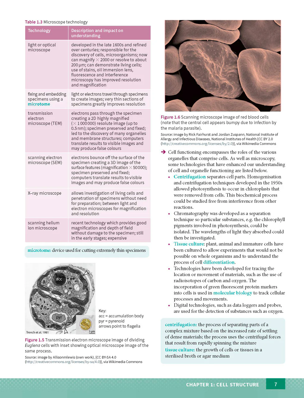 Excel HSC Year 11 Biology Study Guide - Image 7