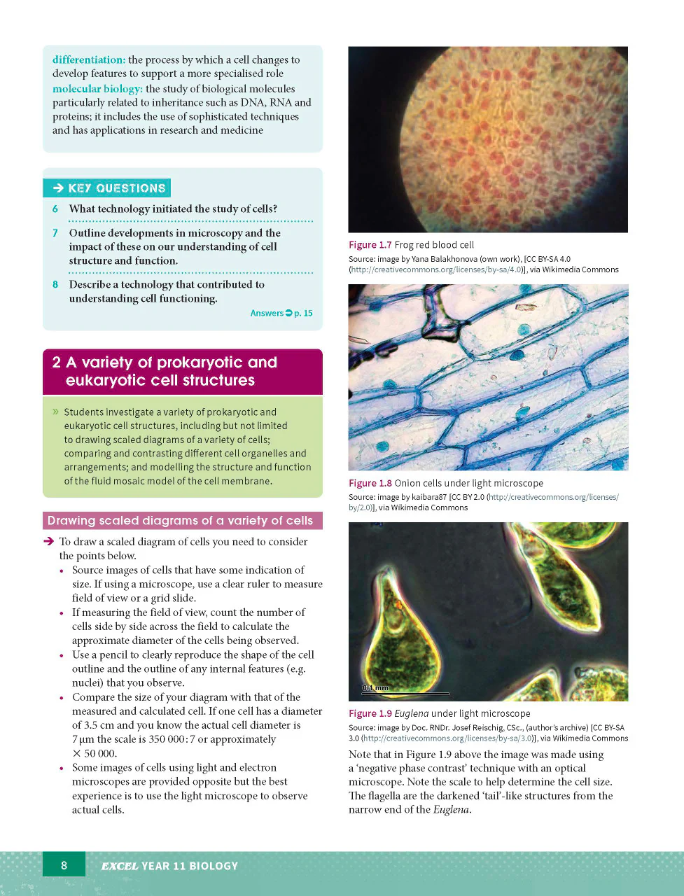 Excel HSC Year 11 Biology Study Guide - Image 8