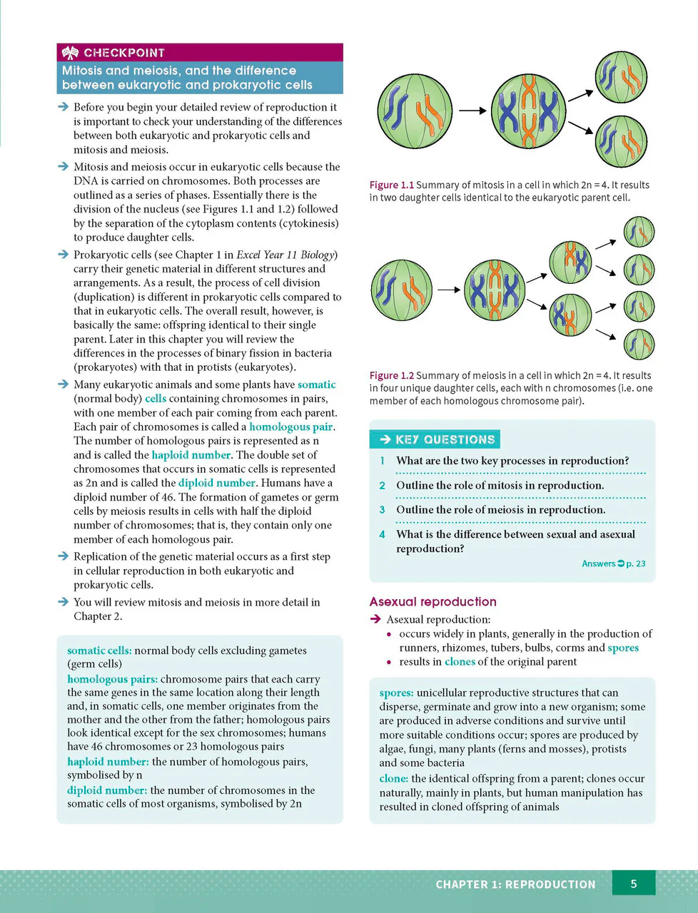 Excel HSC Year 12 Biology Study Guide - Image 6