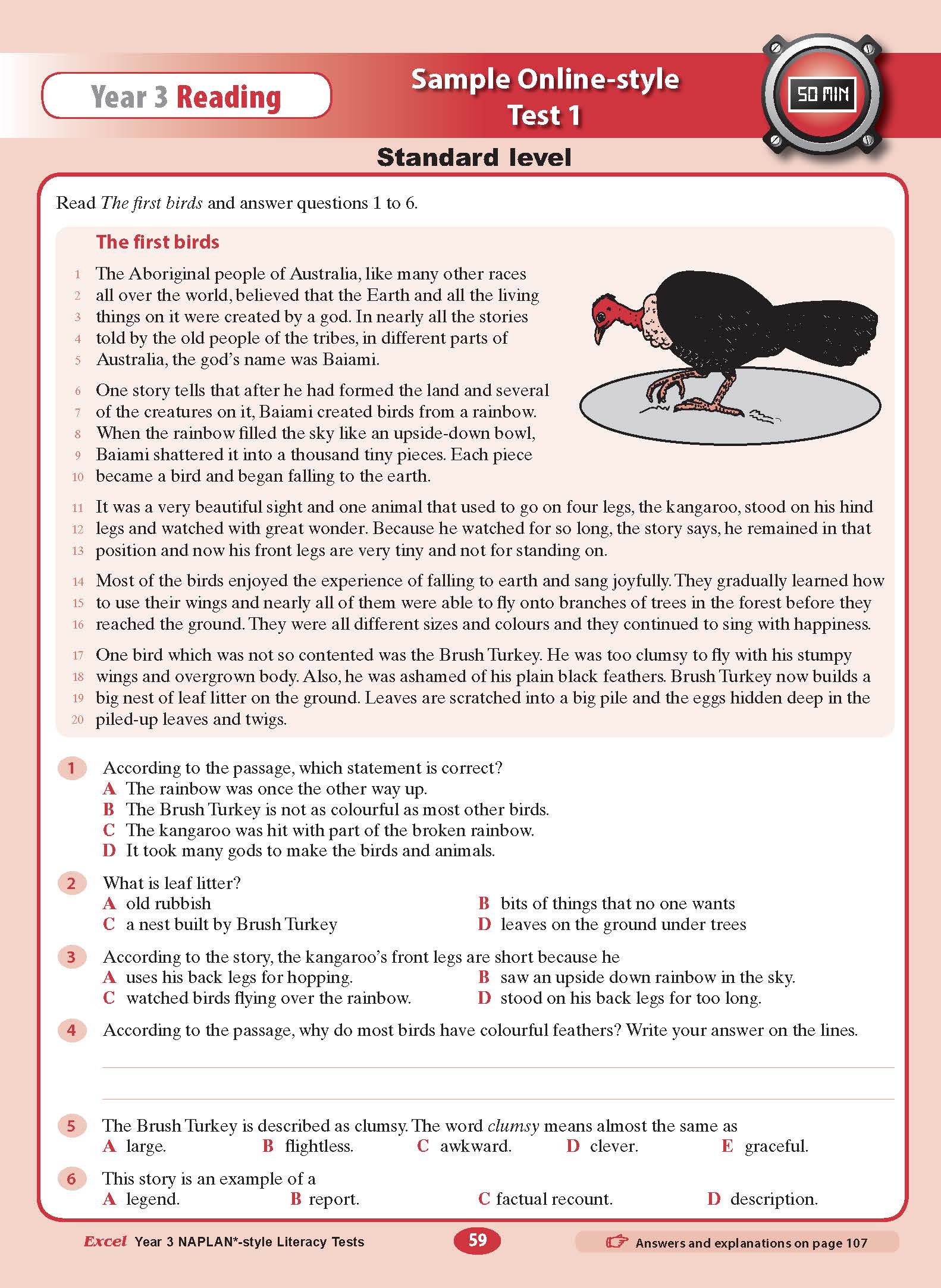 Excel Year 3 NAPLAN*-style Literacy Tests - Image 10