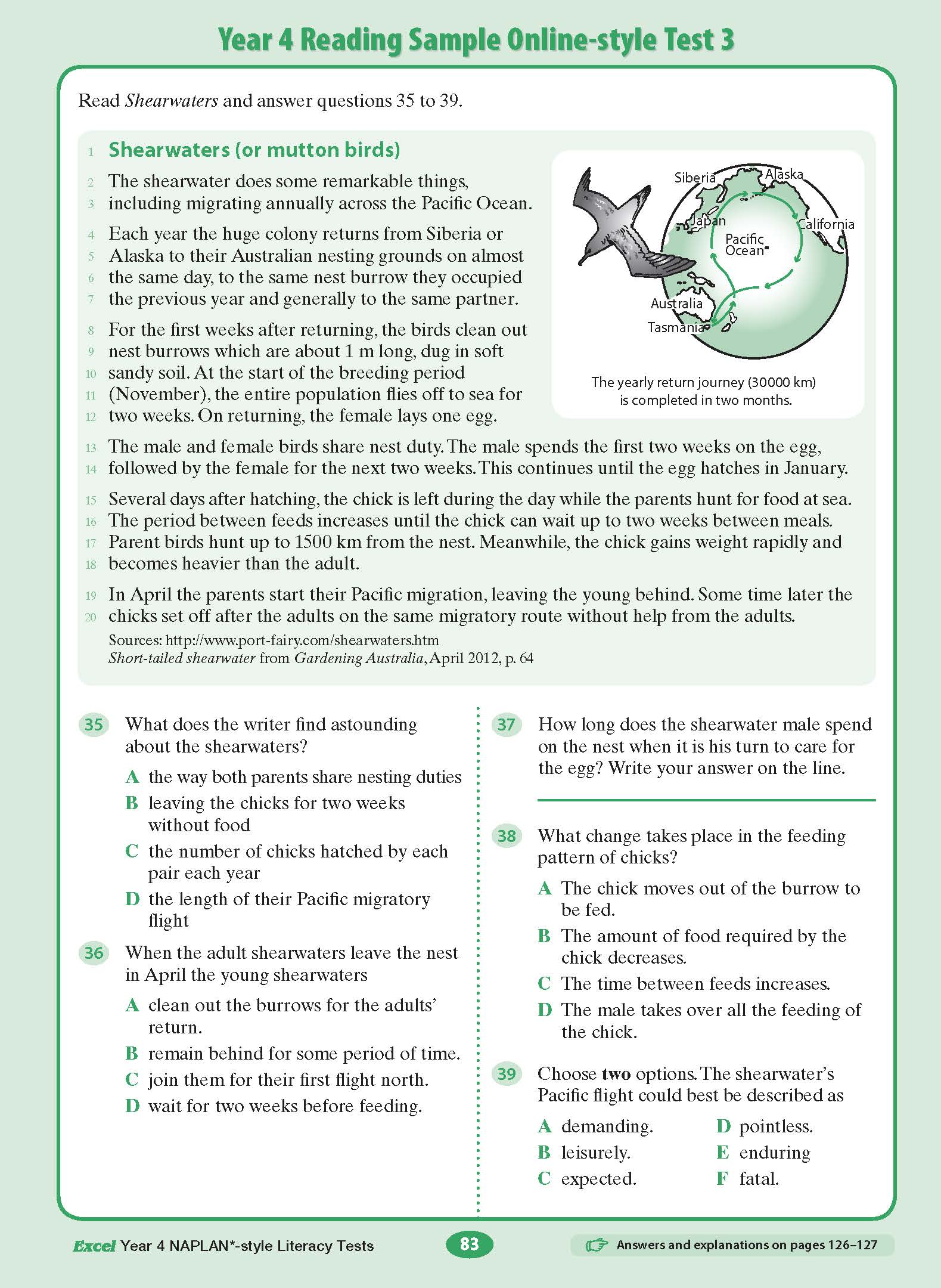 Excel Year 4 NAPLAN*-style Literacy Tests - Image 14