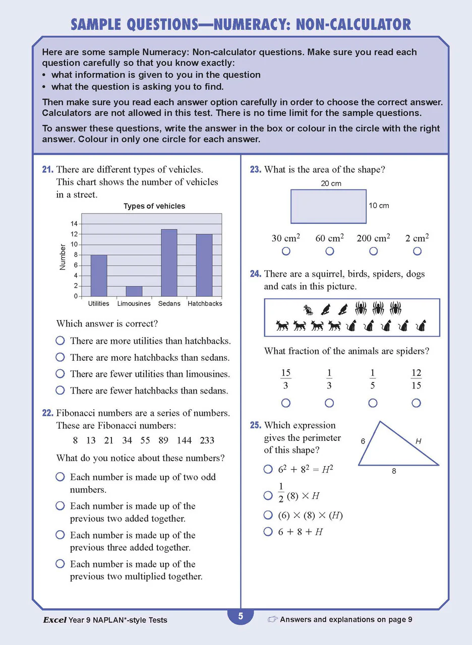 Excel Year 9 NAPLAN*-style Tests - Image 5