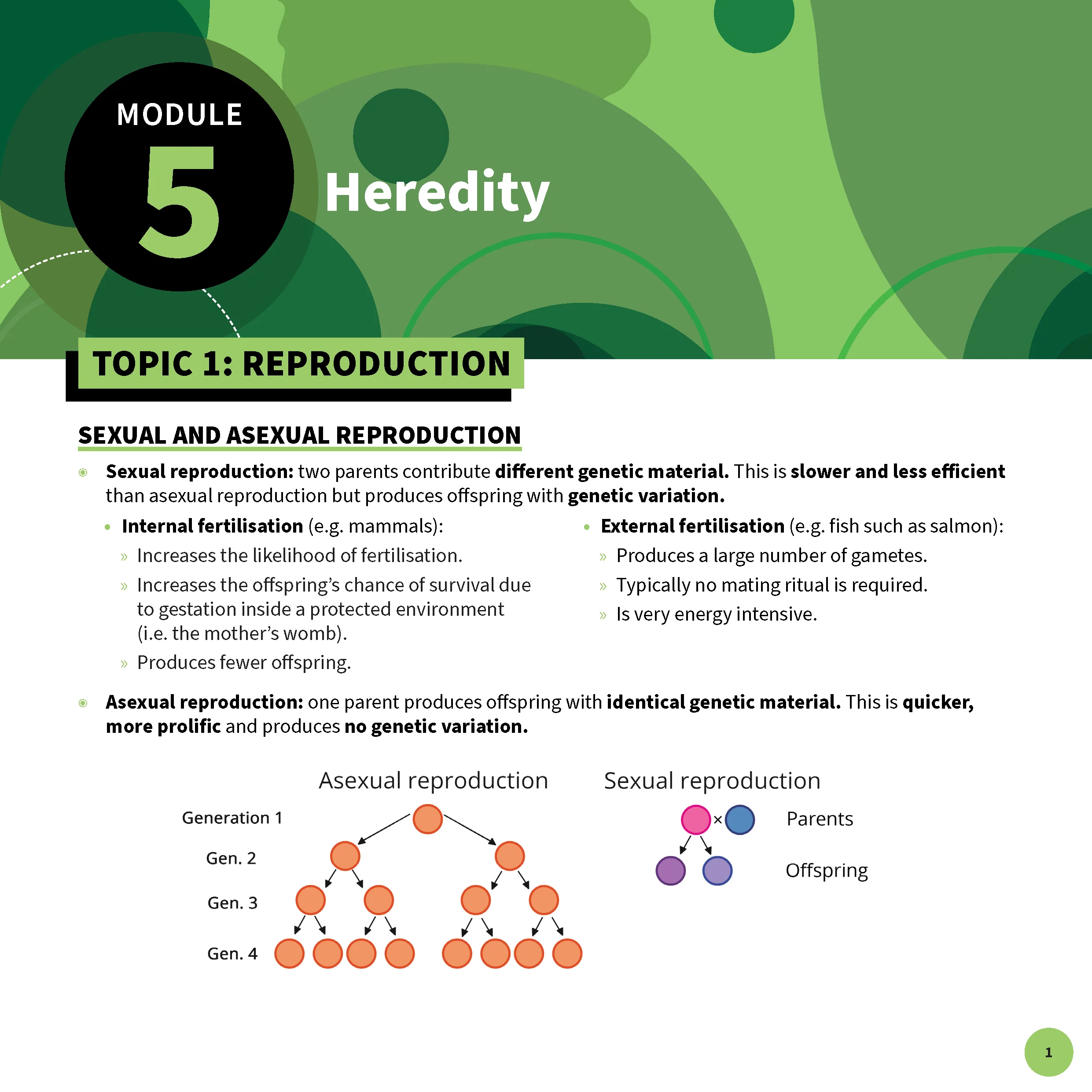 Top Marks HSC Year 12 Biology Bundle - Image 16