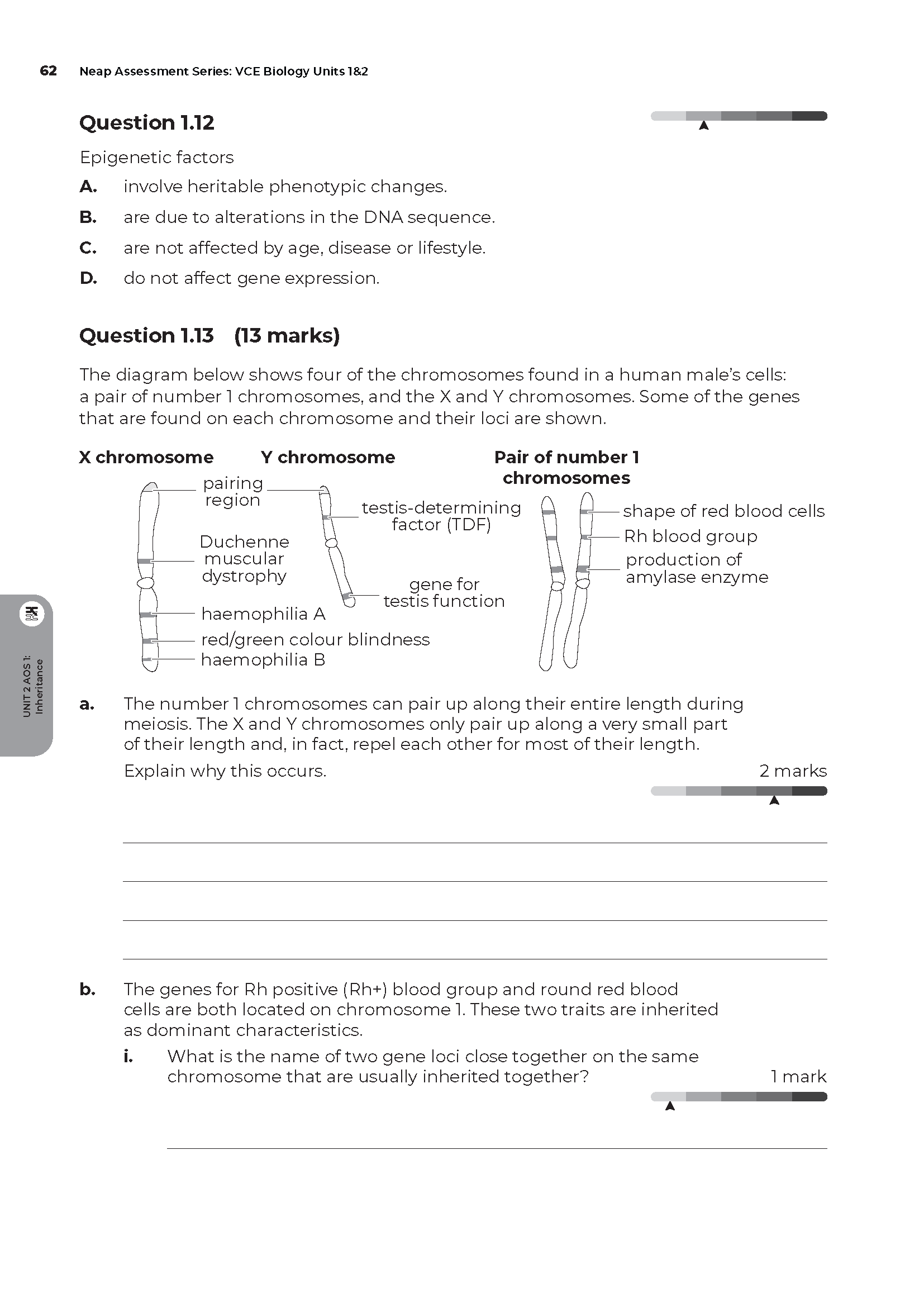 Neap Assessment Series: VCE Biology Units 1&2 - Image 11