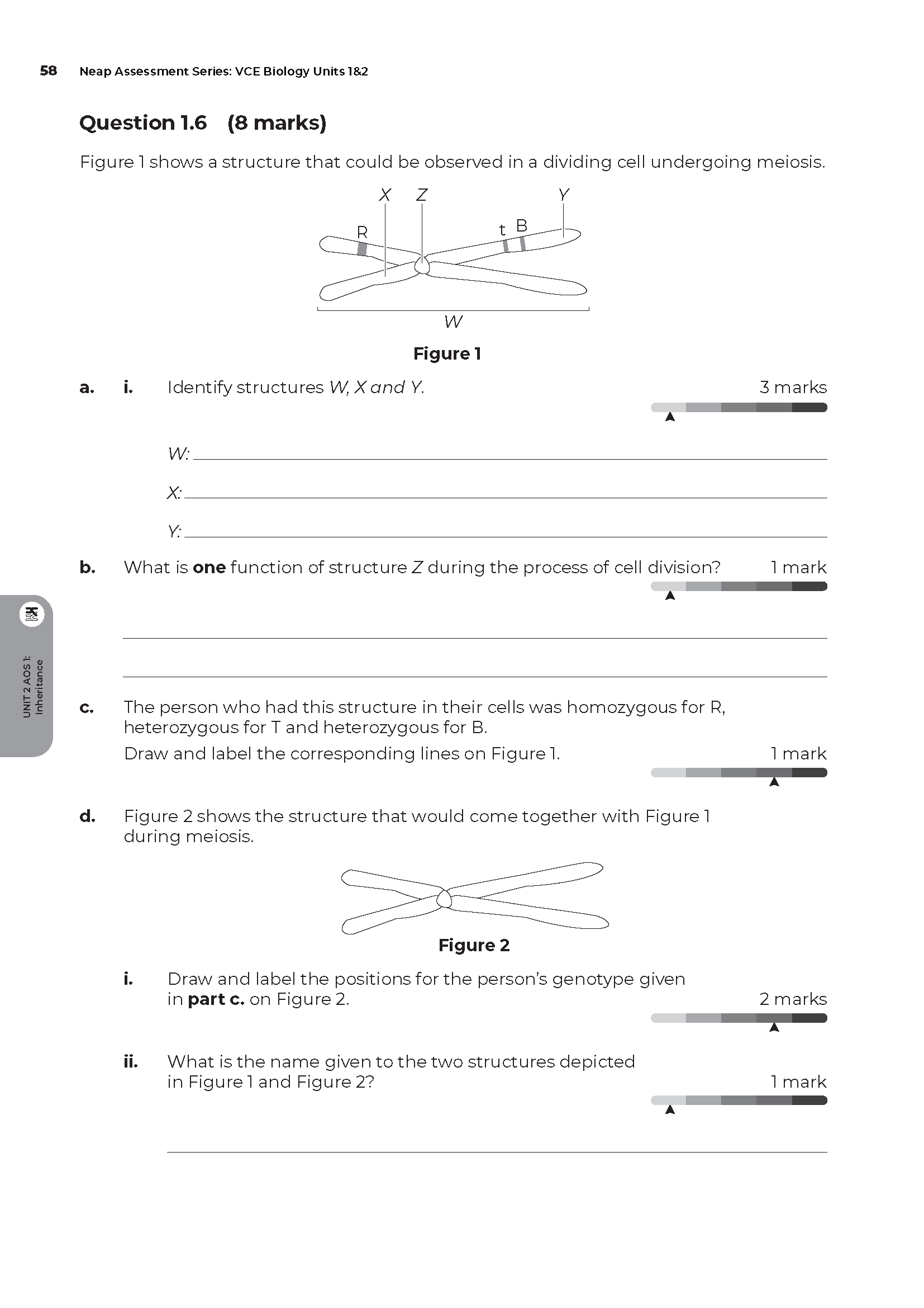 Neap Assessment Series: VCE Biology Units 1&2 - Image 7