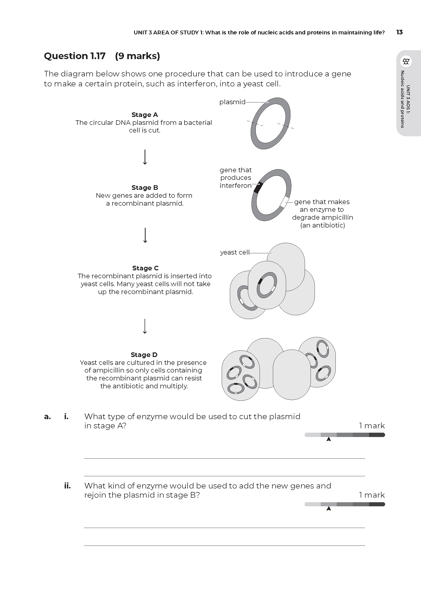 Neap Assessment Series: VCE Biology Units 3&4 - Image 16