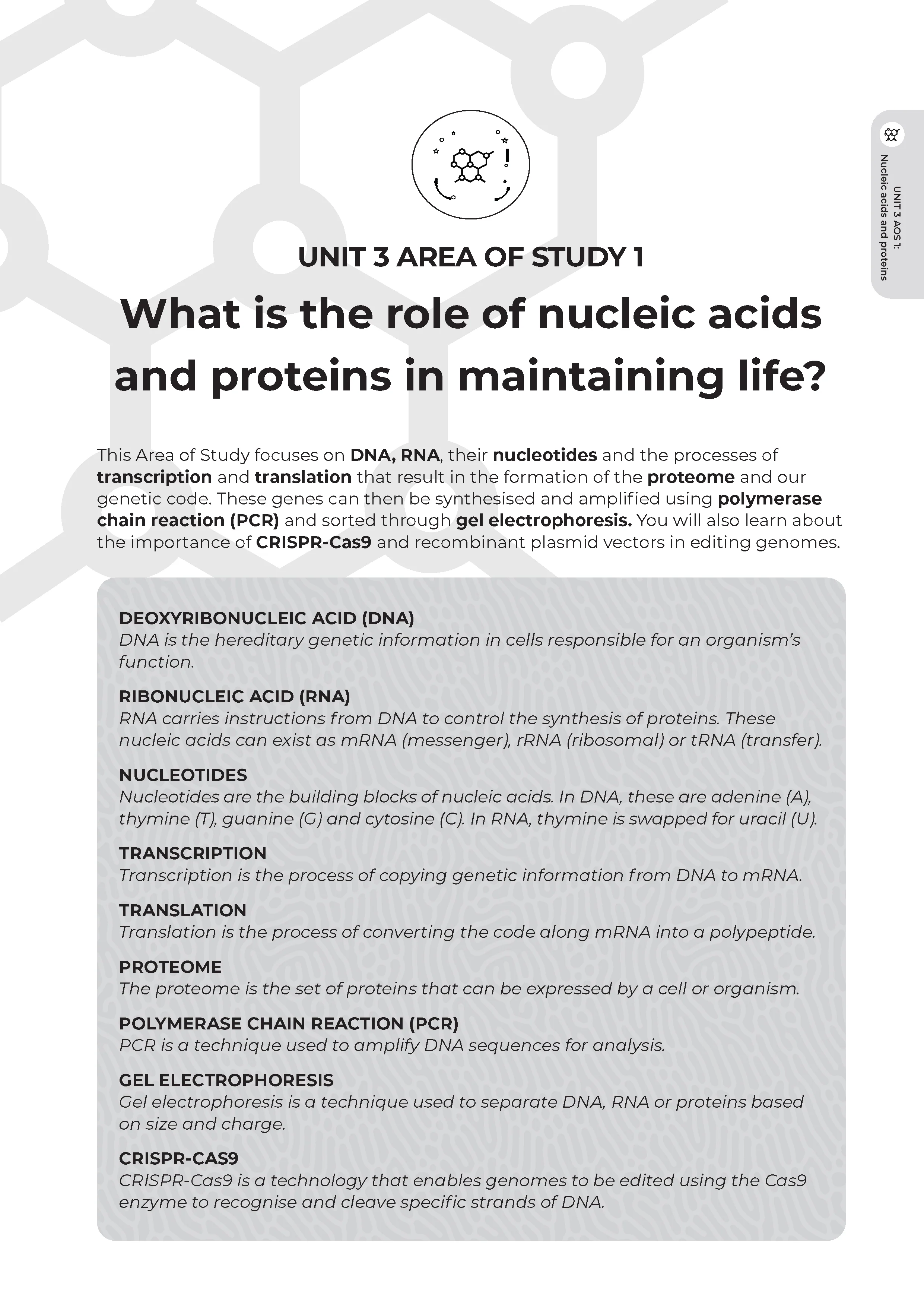 Neap Assessment Series: VCE Biology Units 3&4 - Image 6