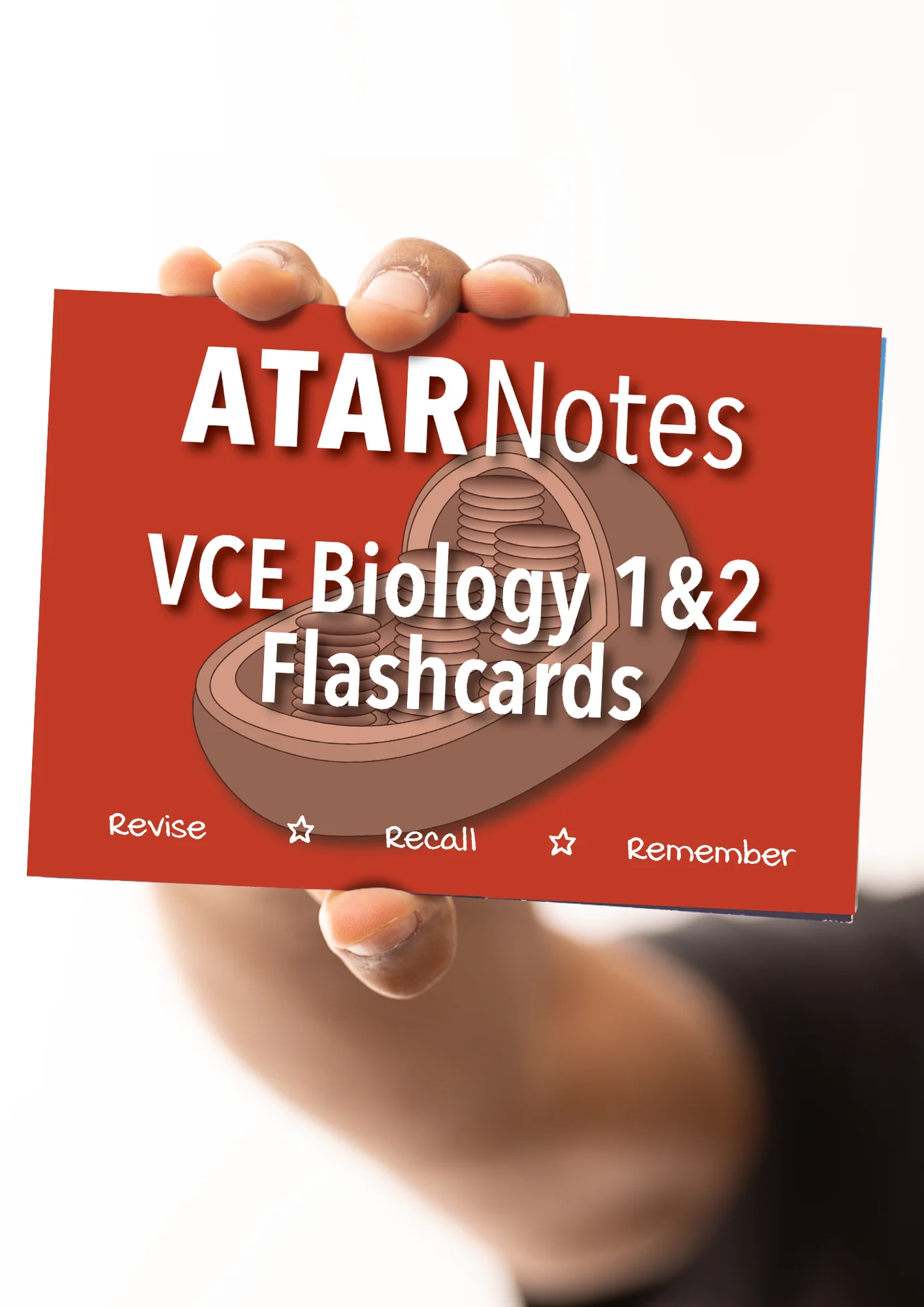 Top Marks VCE Biology 1&2 Bundle - Image 8